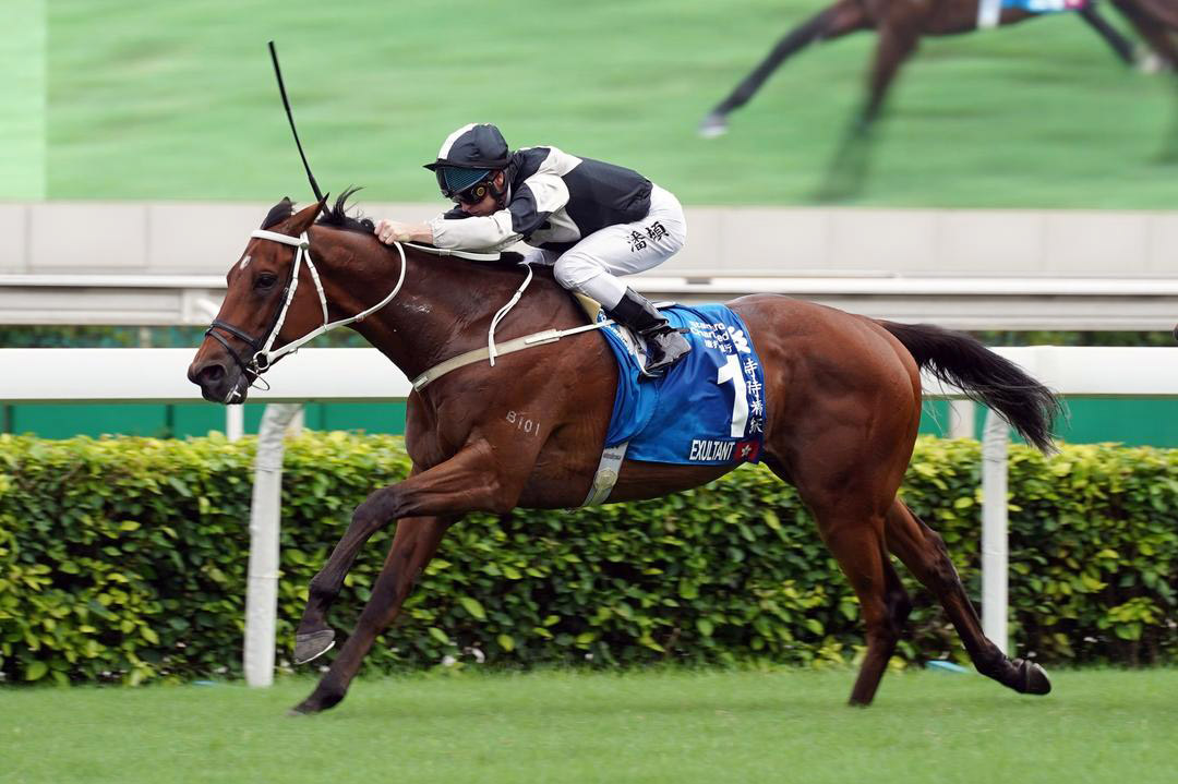 Exultant wins the 2020 Standard Chartered Champions and Chater Cup at Sha Tin