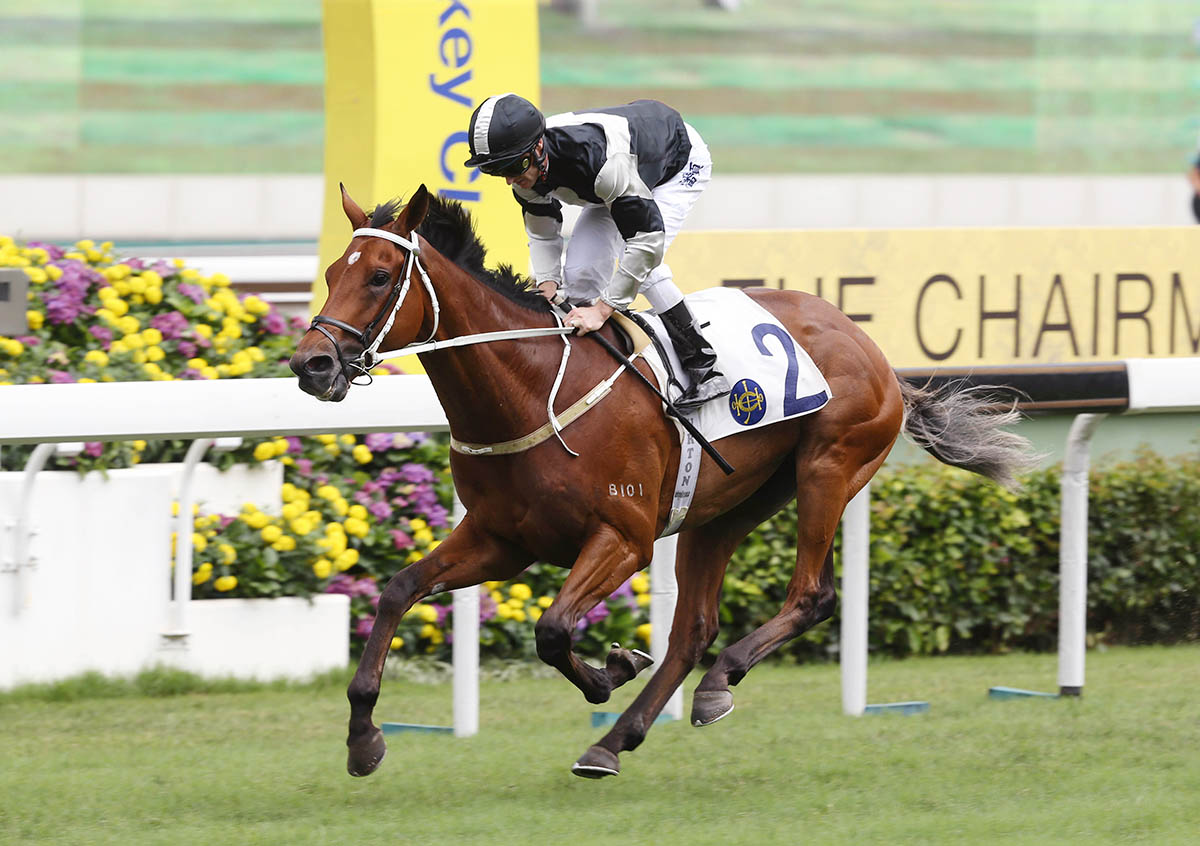 Exultant wins the 2018 Queen Mother Memorial Cup