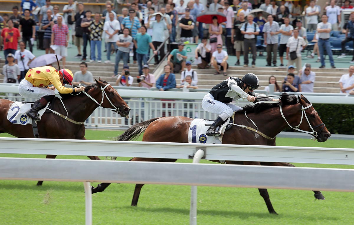 Exultant wins the 2018 Premier Plate