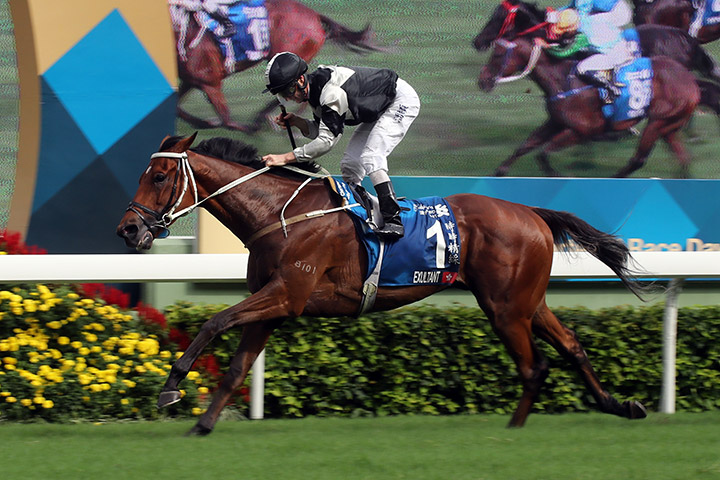 Exultant wins the 2019 Standard Chartered Champions and Chater Cup at Sha Tin