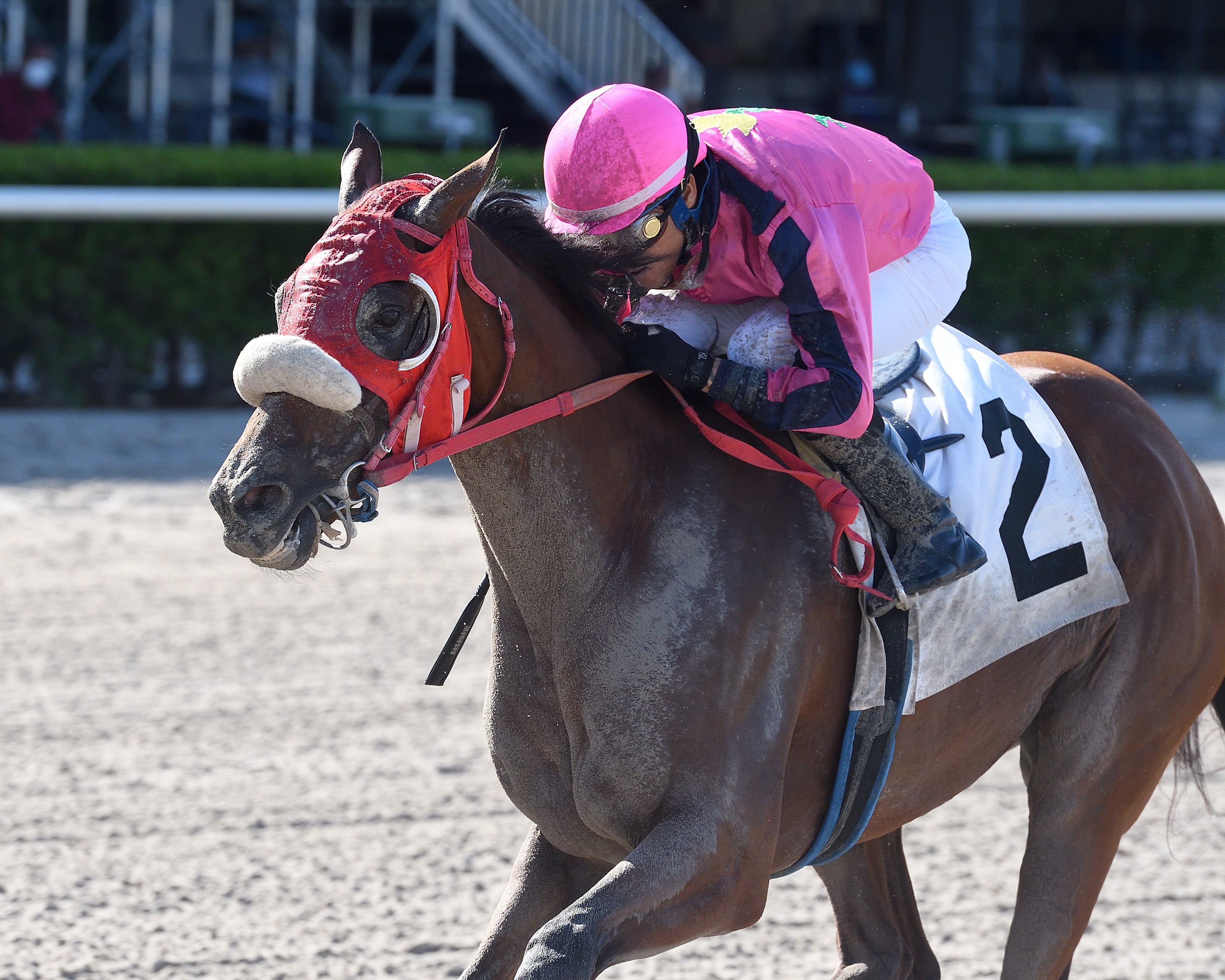 Eye of a Jedi wins the Coaltown 6-13-2020