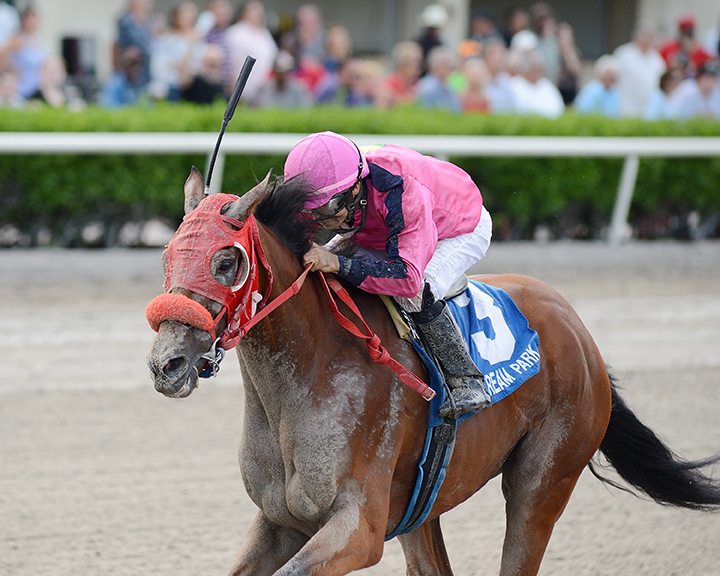 Eye of a Jedi wins the 2019 Sea of Tranquility Stakes at Gulfstream Park
