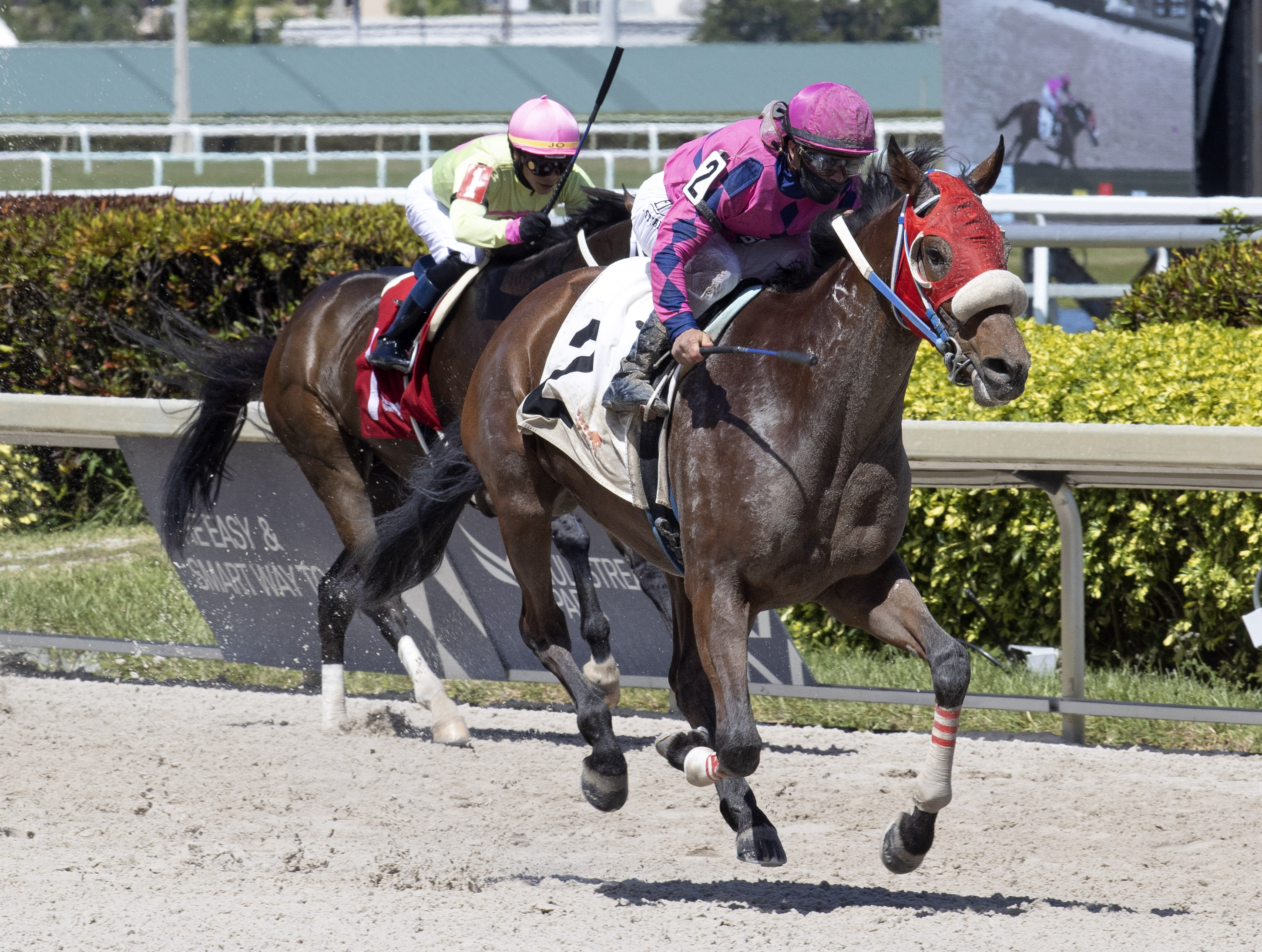 Eye of a Jedi wins Ghostzapper 3-27-2021