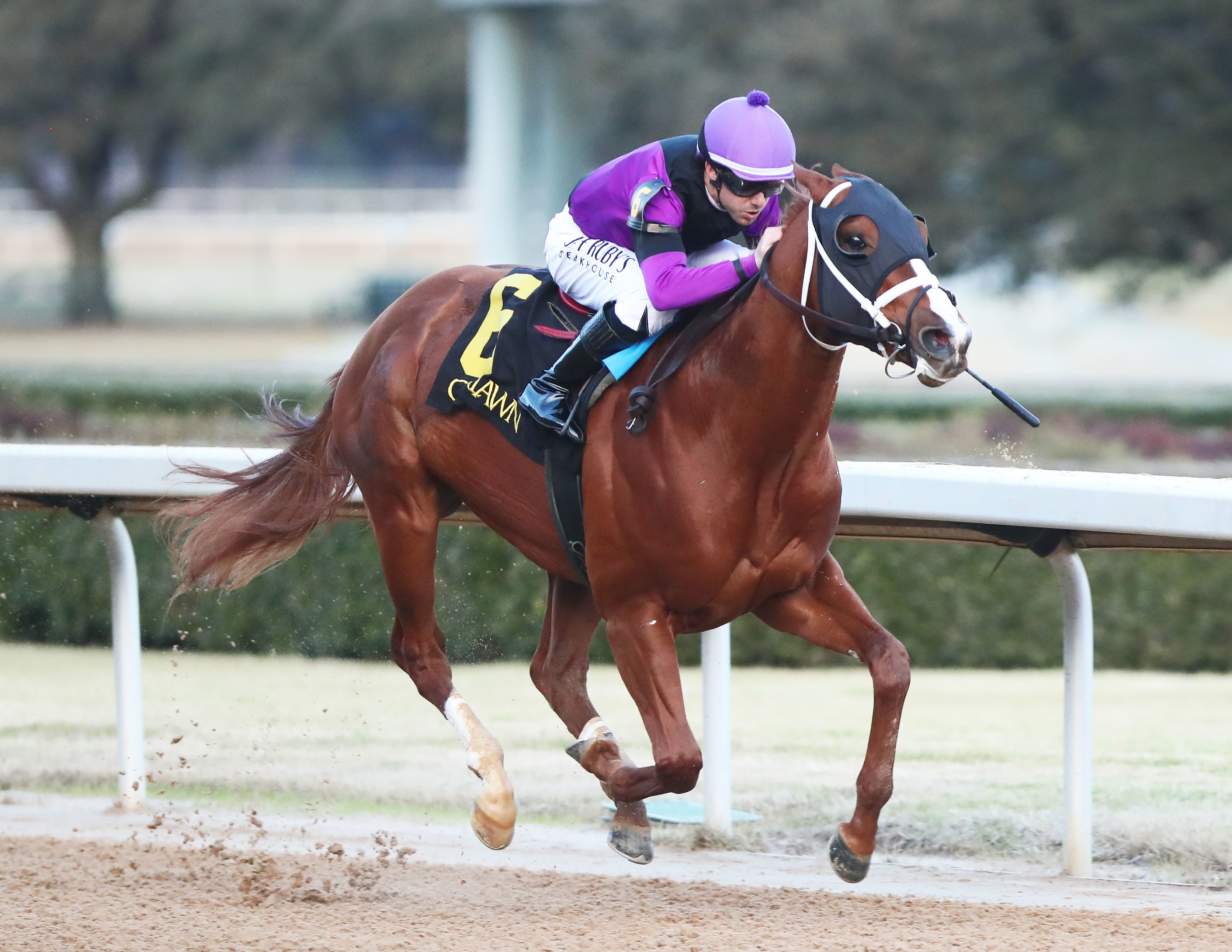 Eyeing Clover wins maiden at OP Dec 31 2022