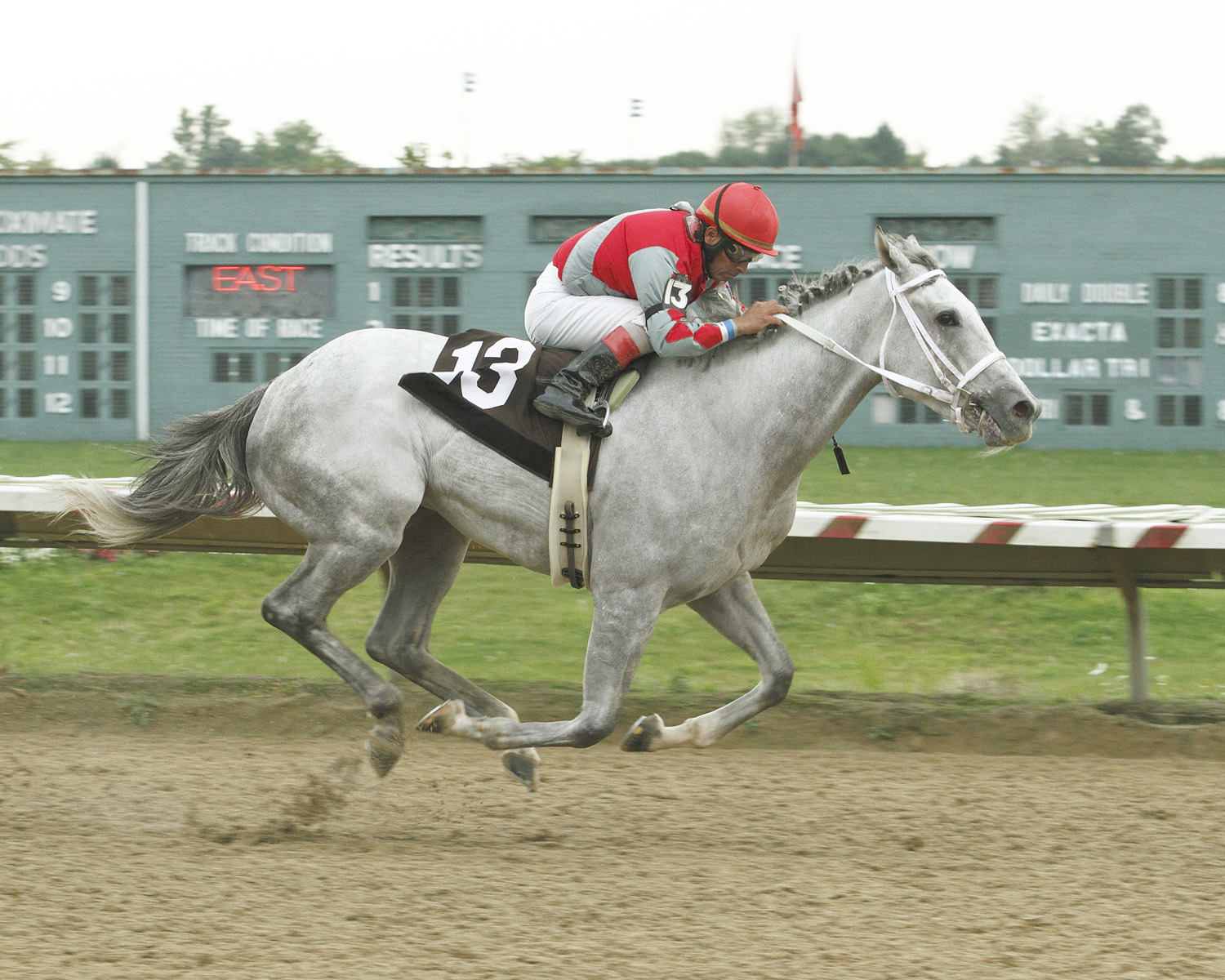 Eyes Super Freaky/Governor's Buckeye Cup