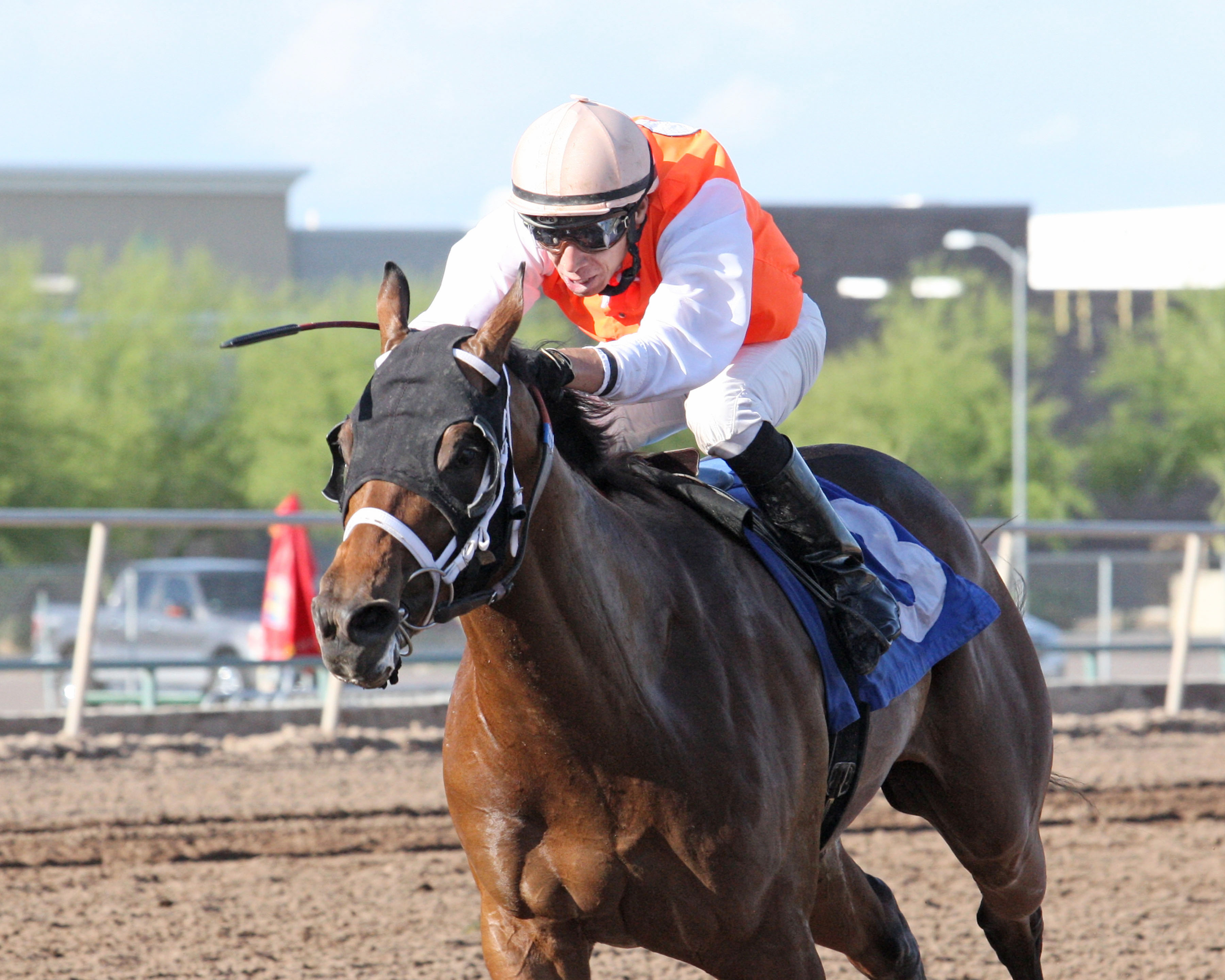 Ez Deluxe wins the ATBA Spring Sales Stakes
