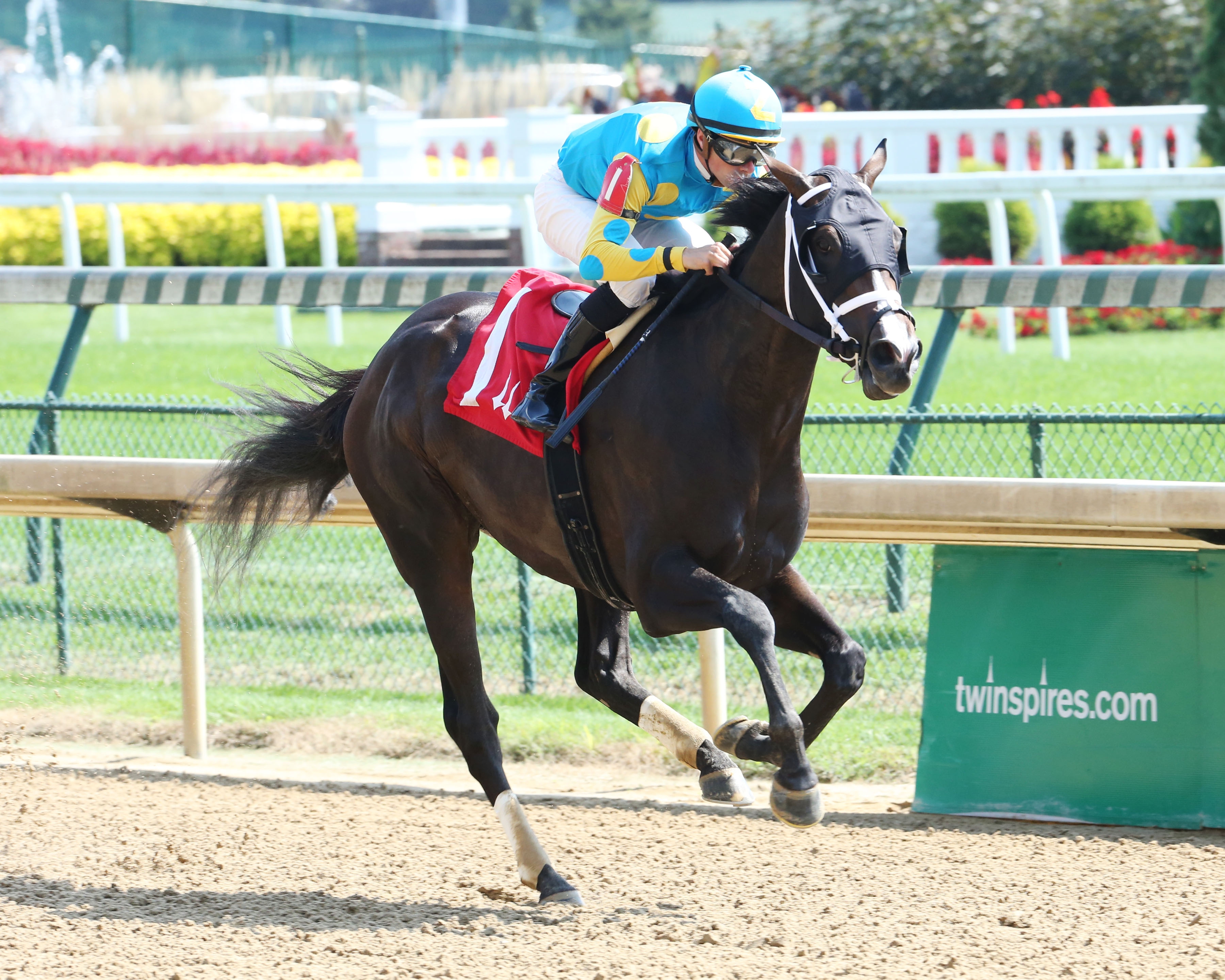 Ezmosh wins a maiden race at Churchill Downs on Sept. 16, 2017