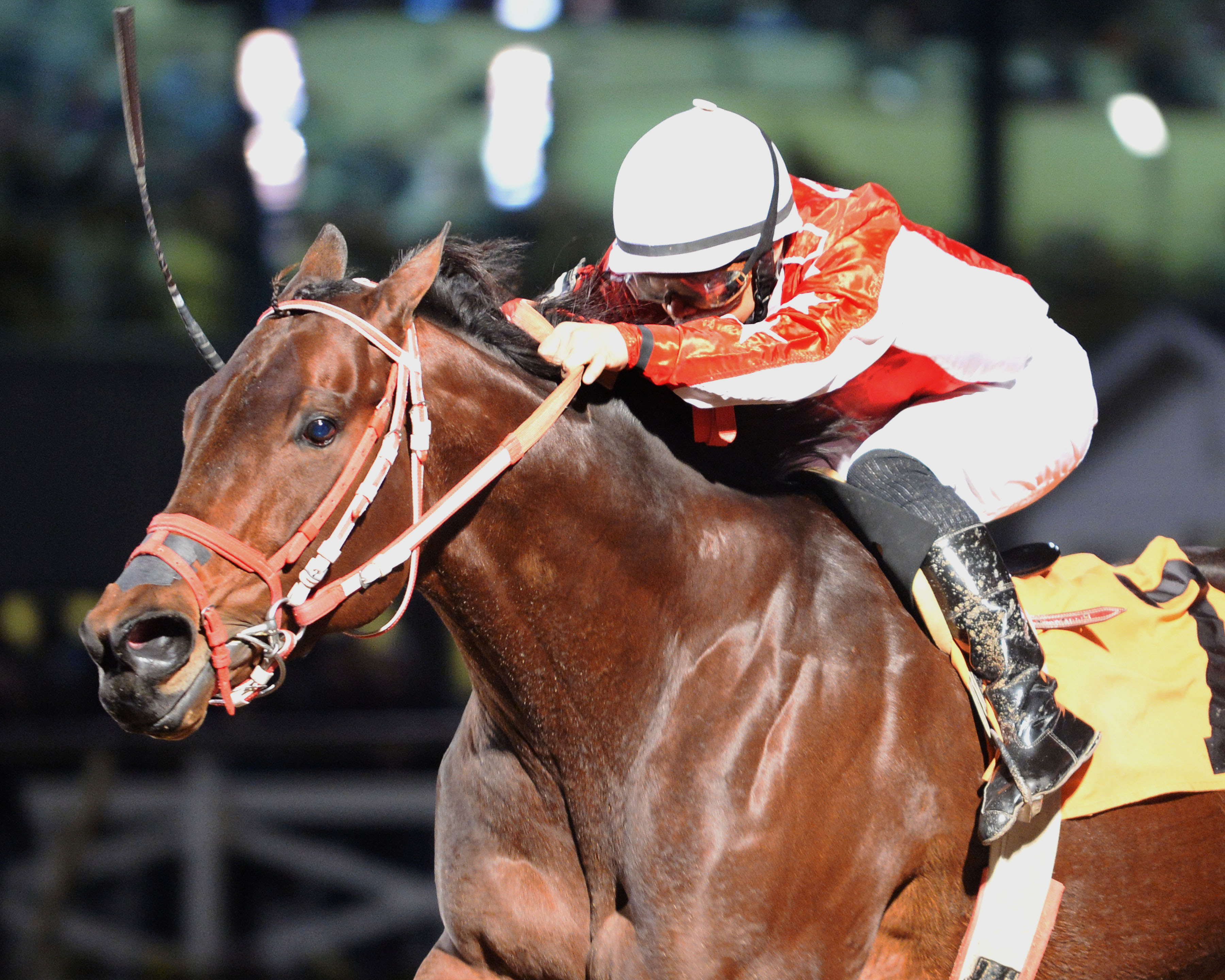 F J Uncle Vic wins the Star Of Texas Stakes
