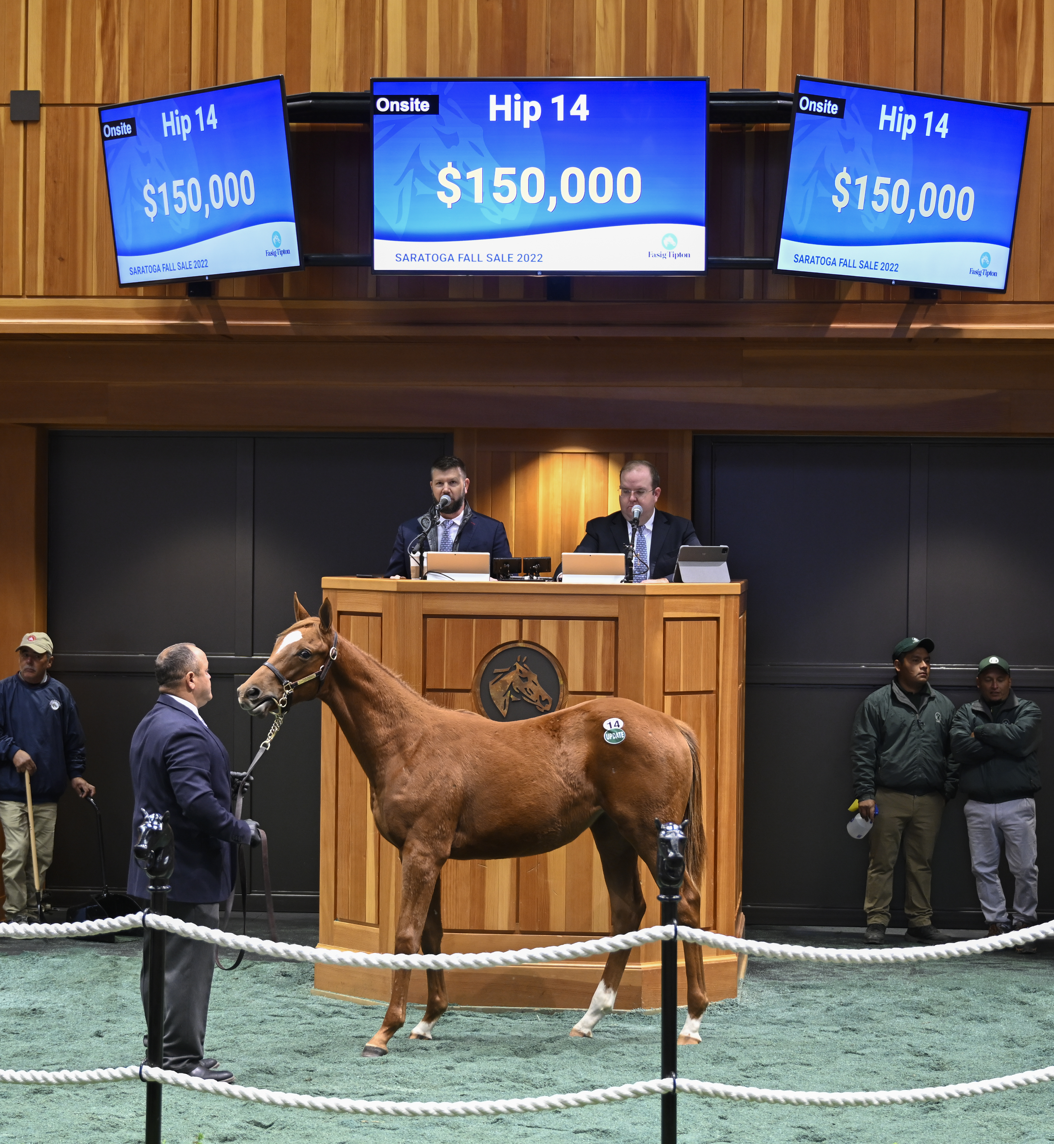 F-T Saratoga Fall Mixed Sale Malibu Moon - Stopspendingmaria Oct 17 2022
