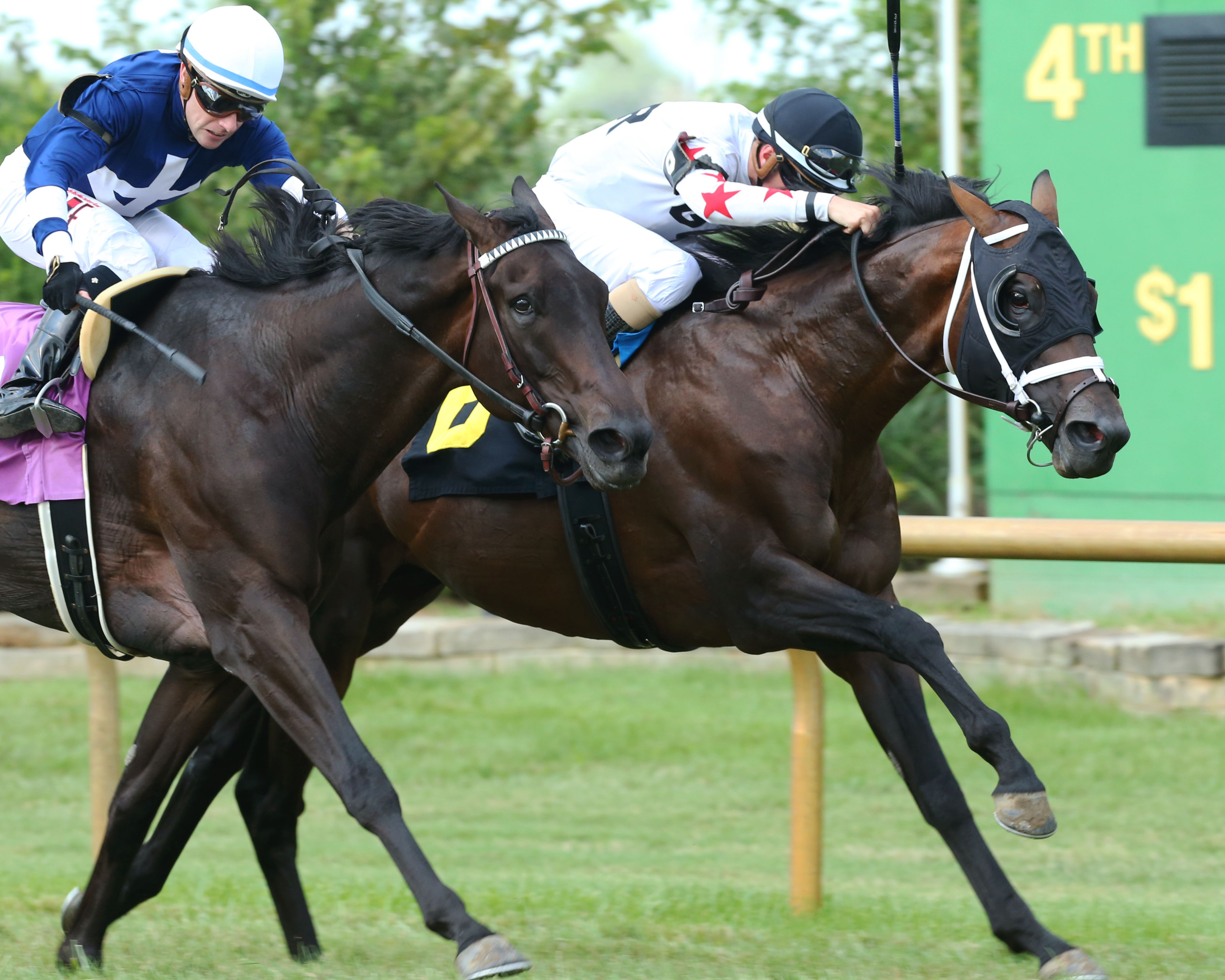 Factor This (right) wins the 2019 Kentucky Turf Cup Preview
