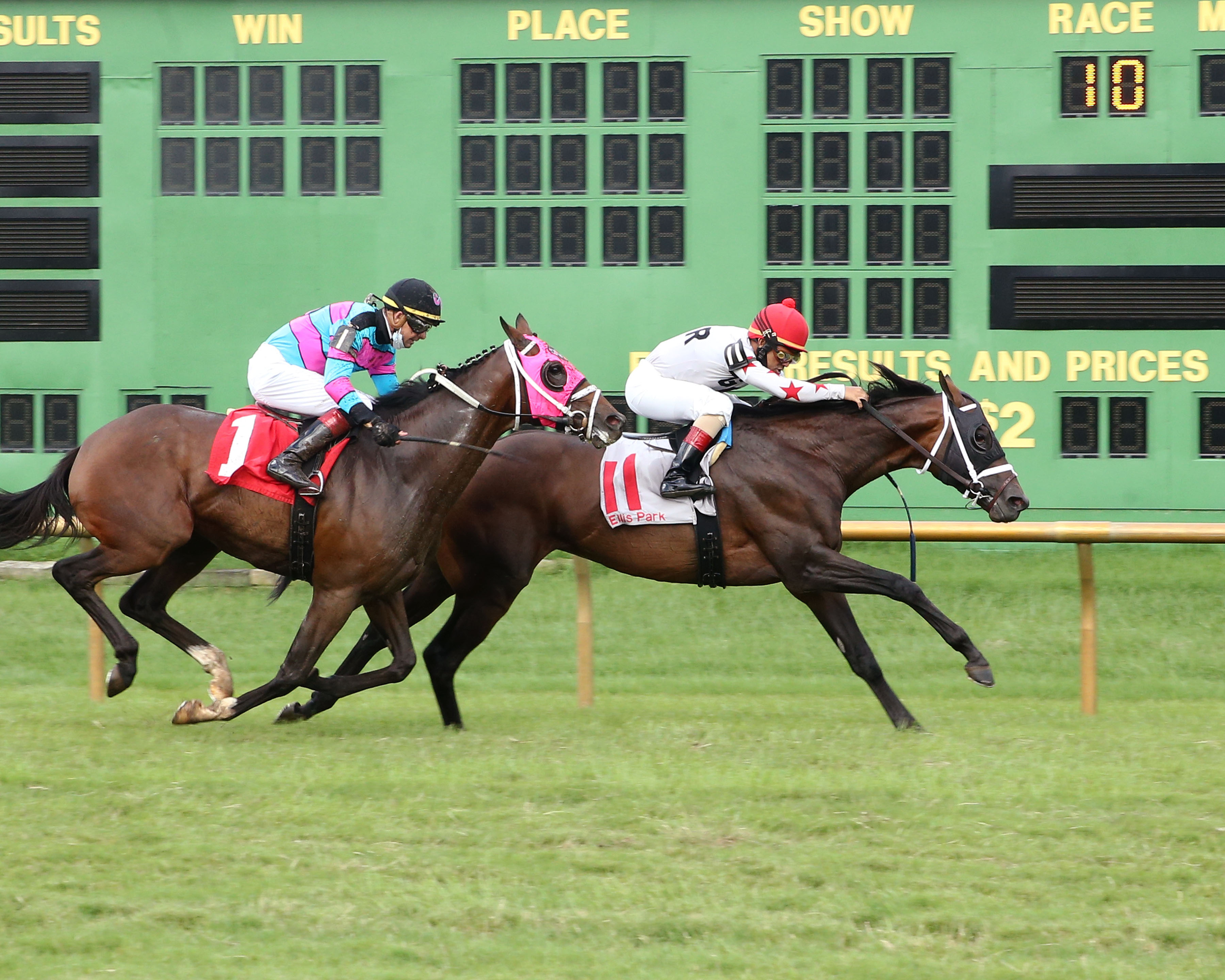 Factor This/Kentucky Downs Preview Turf Cup