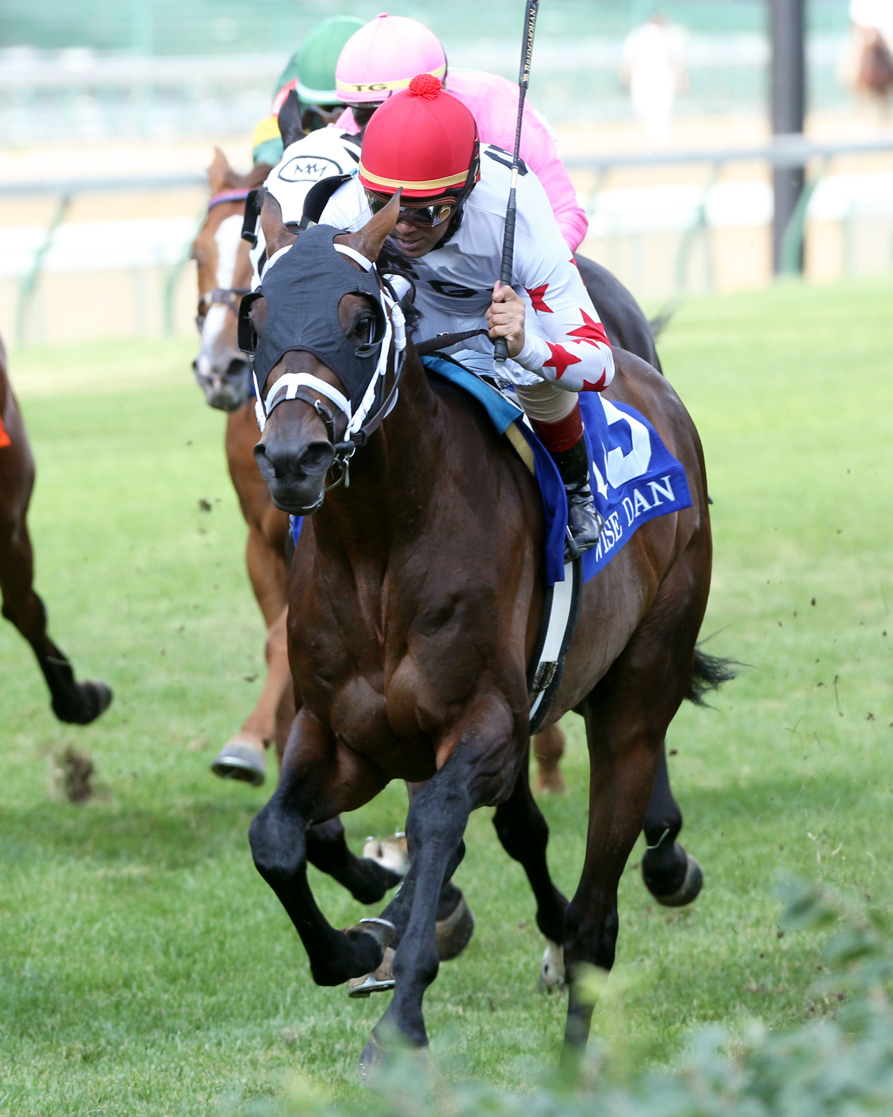 Factor This, Wise Dan