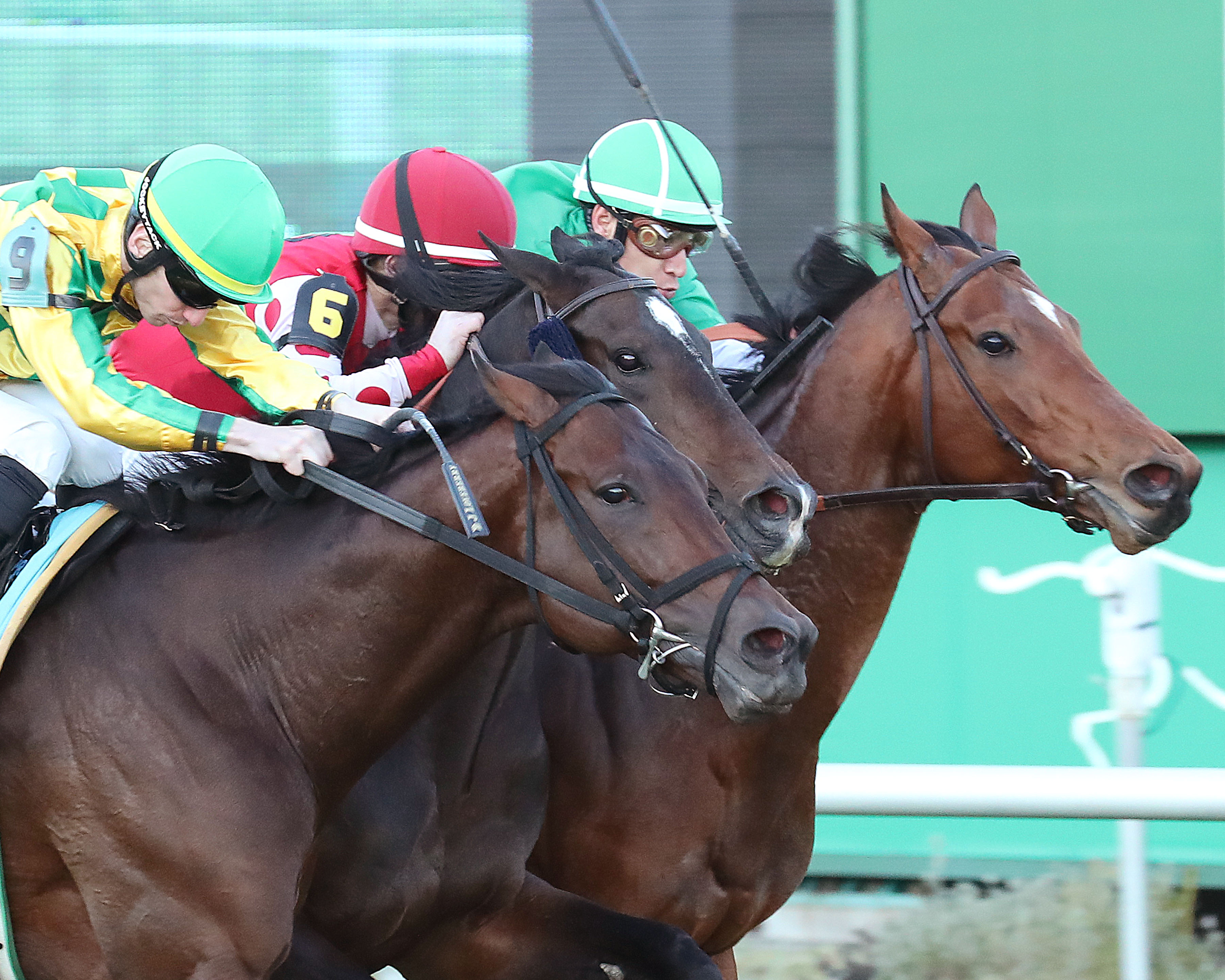 Dead heat in Connally Turf Cup 1-30-2022