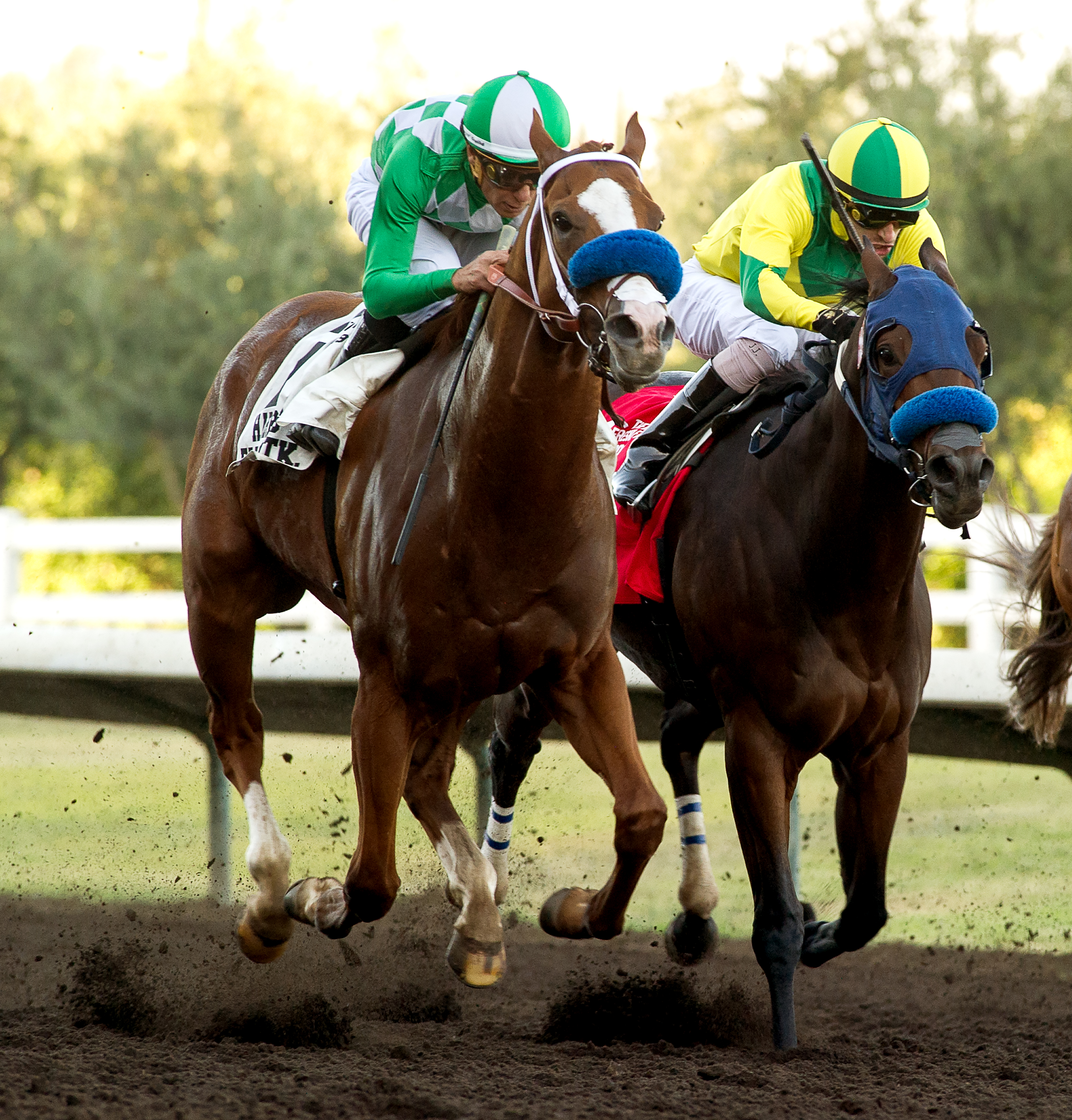 Fashionably Fast (left) wins the 2019 Harris Farms Stakes