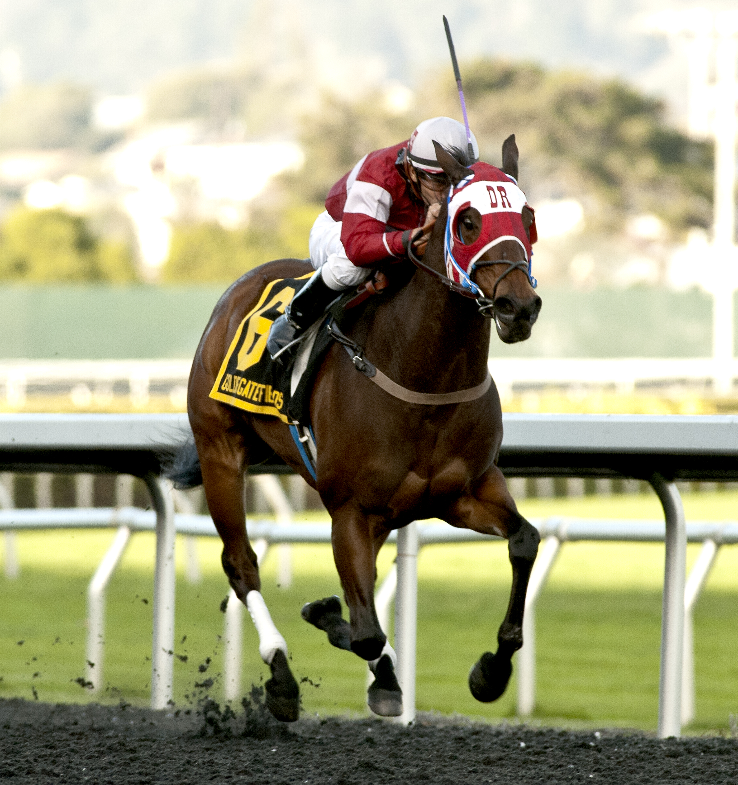 Fast and Foxy wins the 2017 Bear Fan Stakes