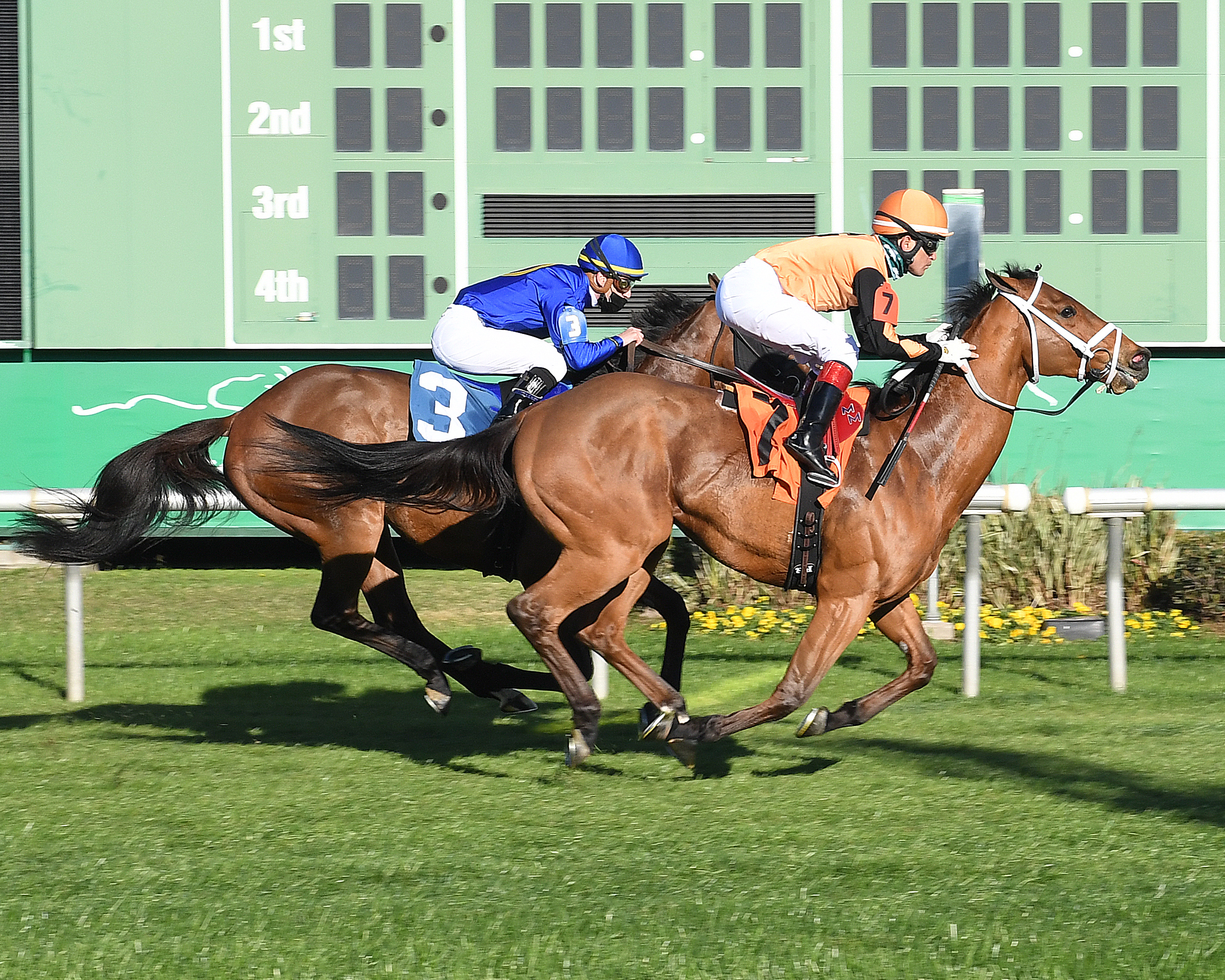 Fast Boat wins Turf Sprint 1-31-2021