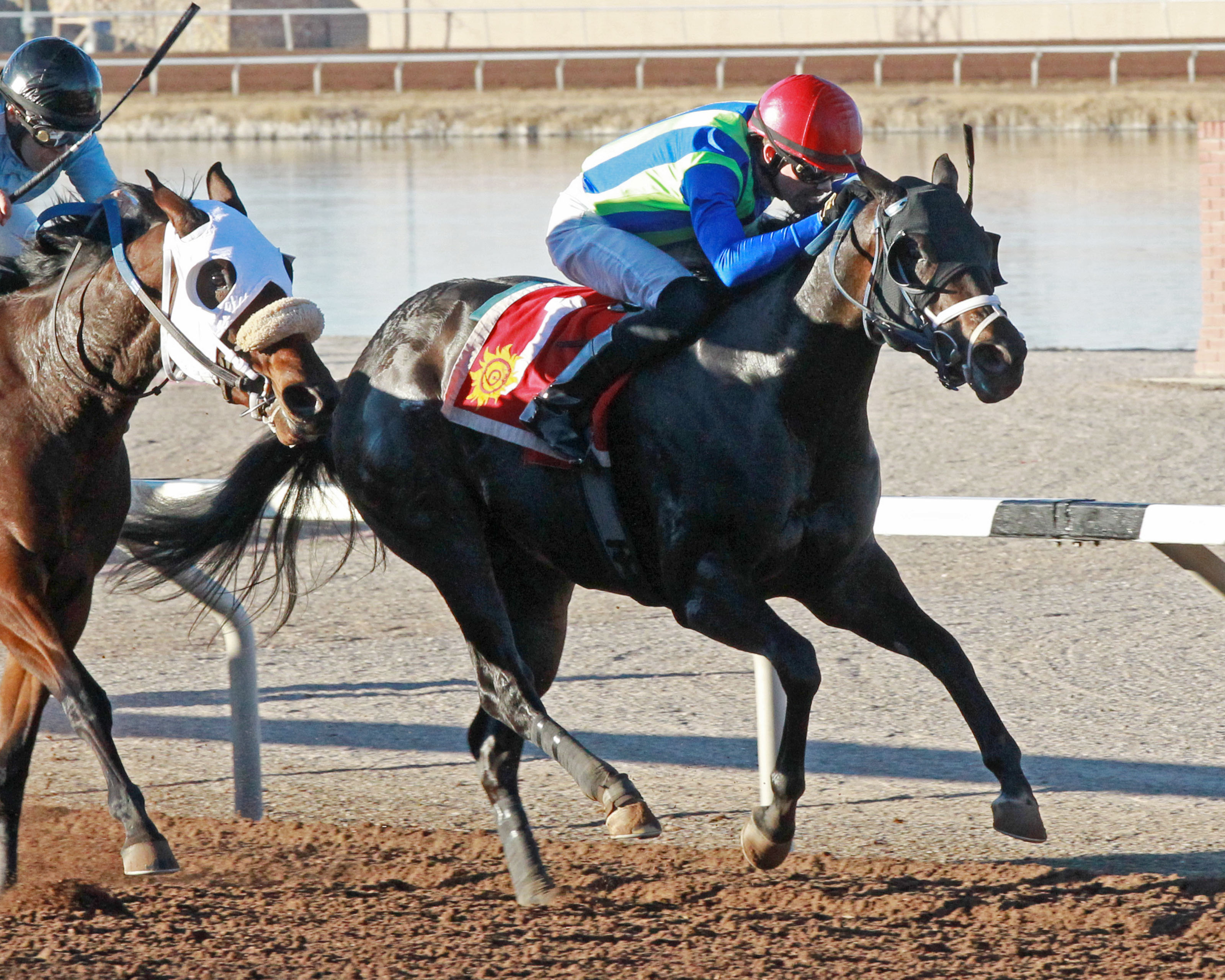 Fast Gator wins the 2017 La Senora Stakes