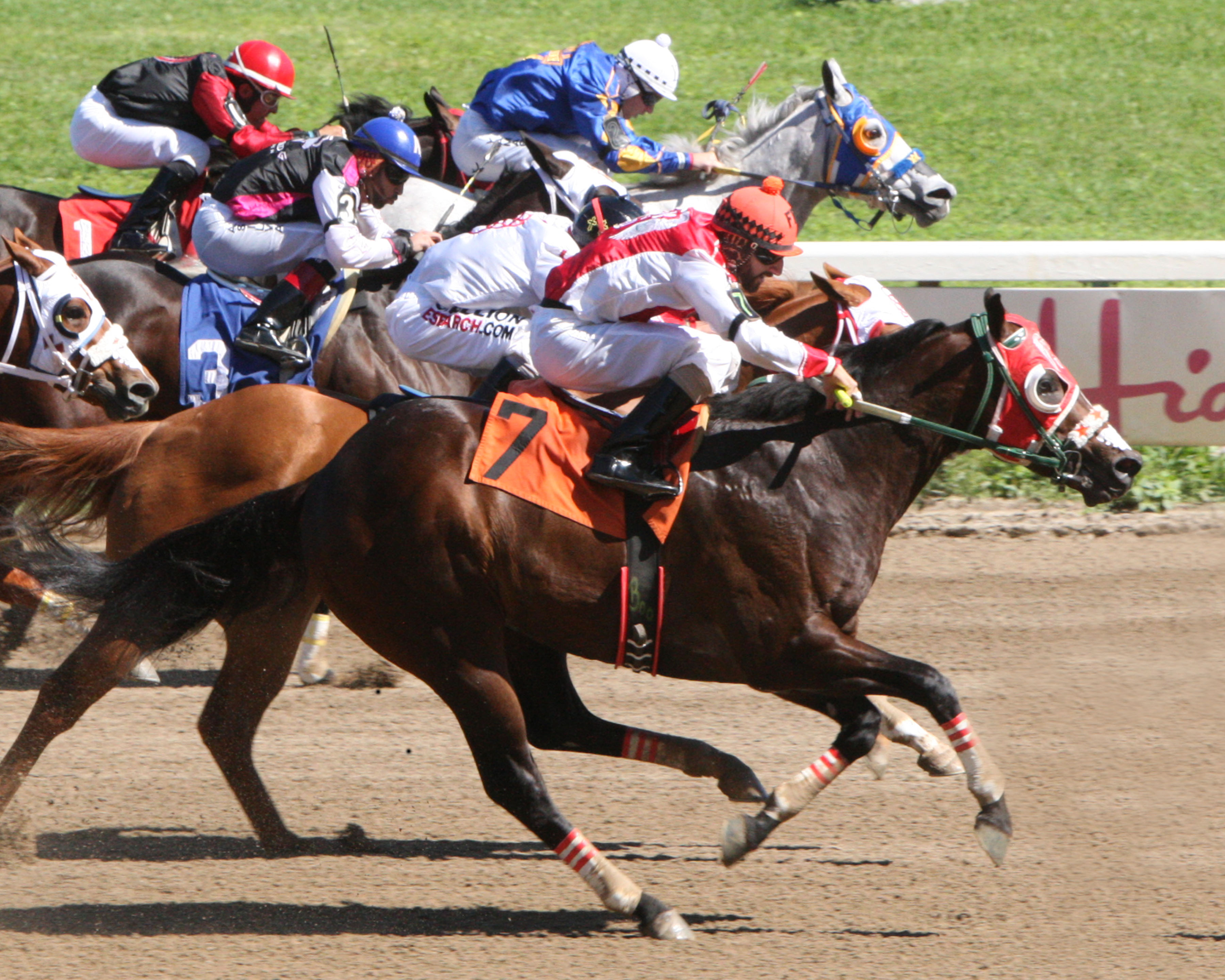Favored Fire 2-7-2016