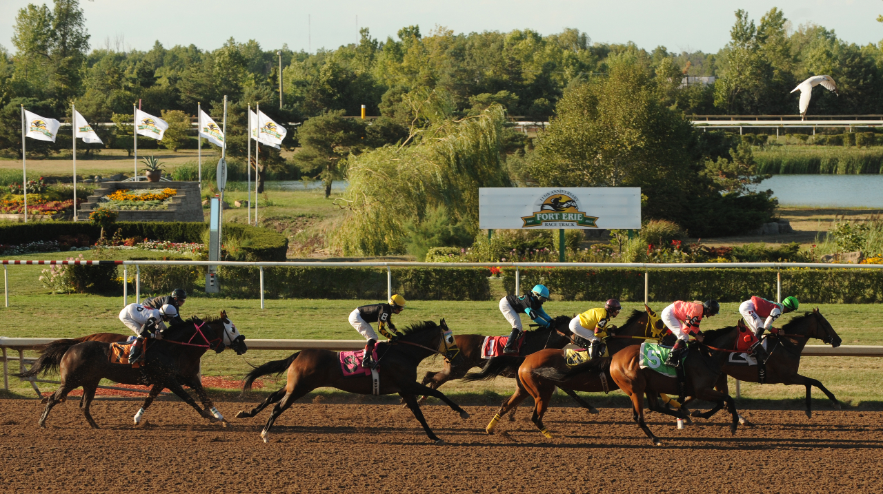 Fort Erie, 2012