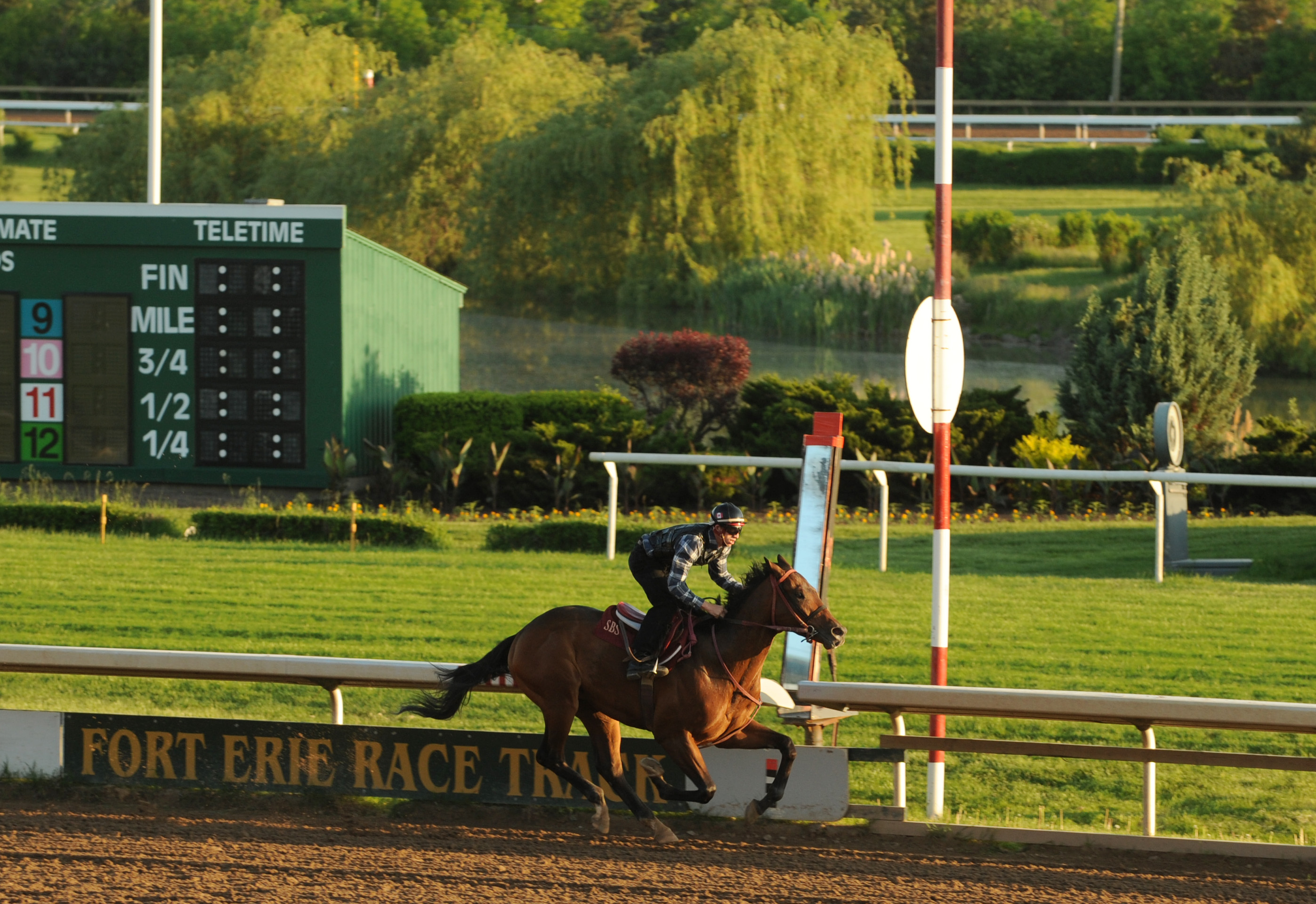 Fort Erie morning workout