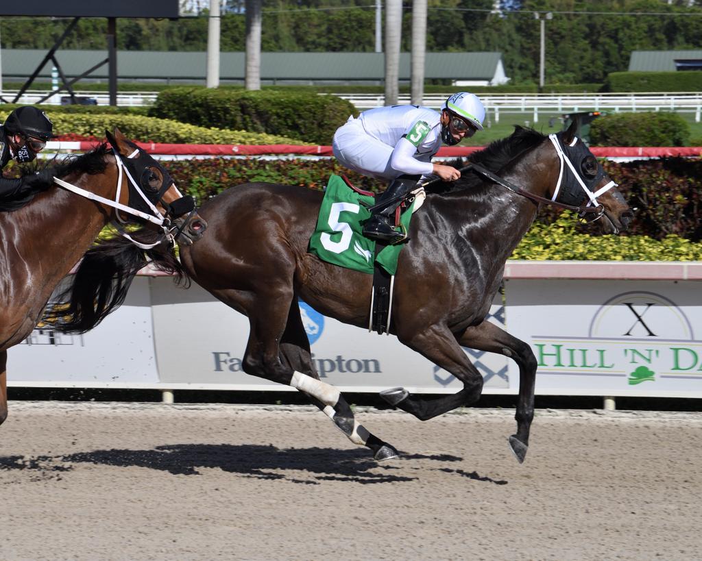 Fearless - GP Mile