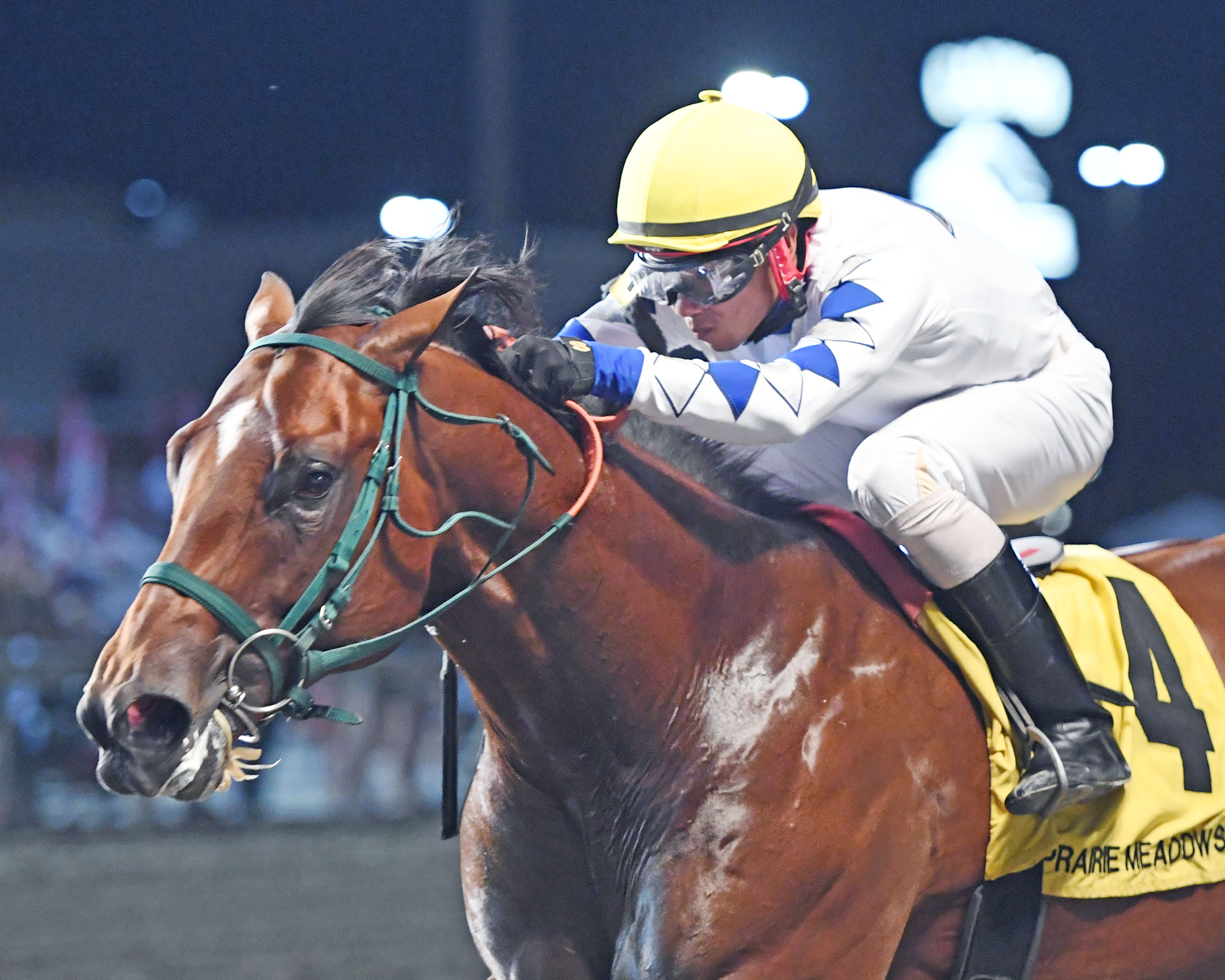 Feel the Fear wins Prairie Gold Juvenile 8-14-2021