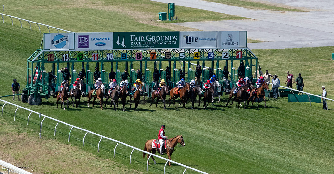 Fair Grounds turf racing, 2019