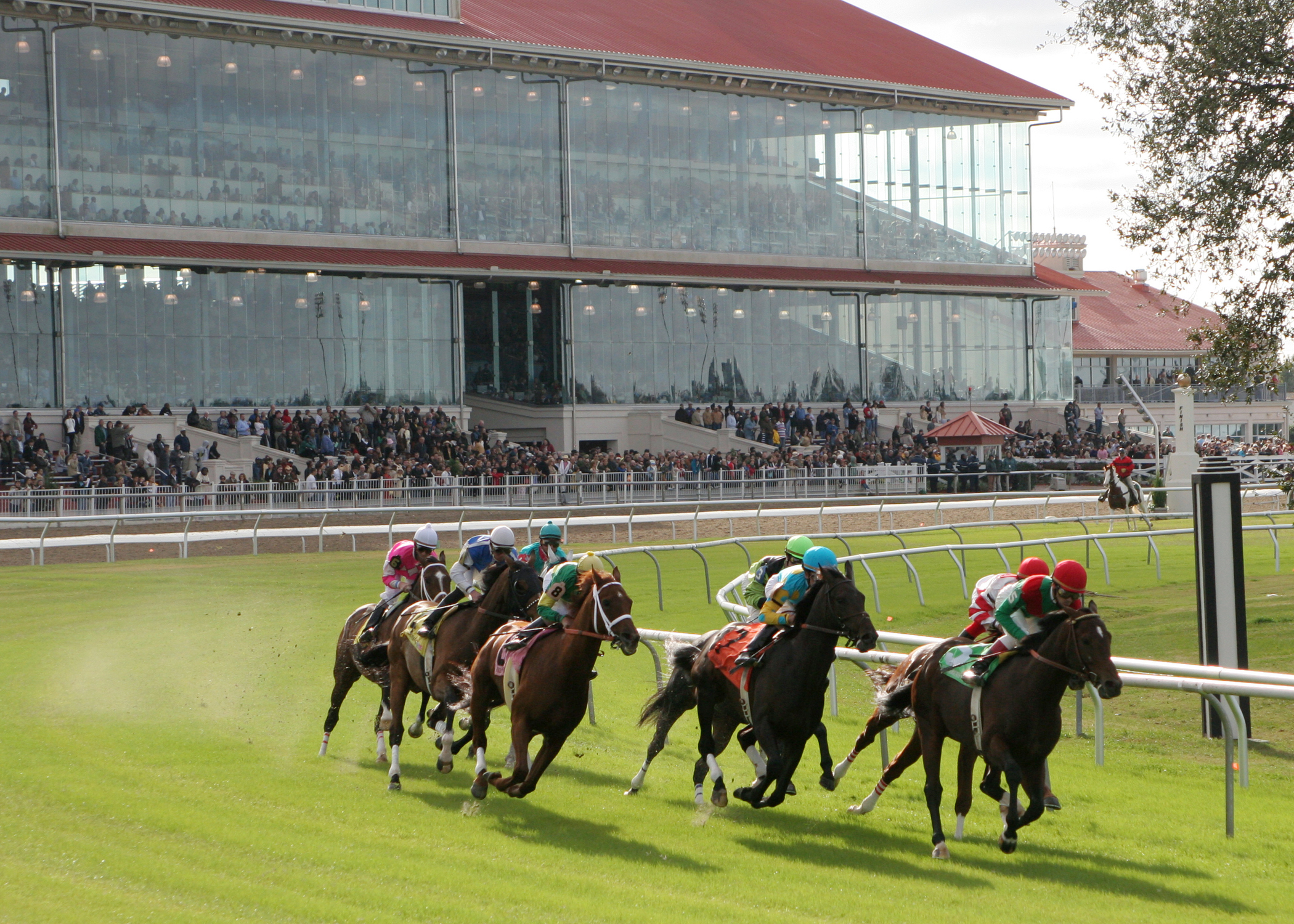 Fair Grounds turf racing