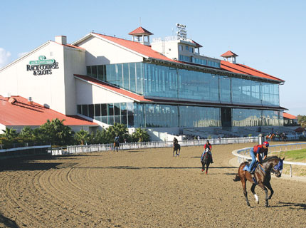 Fair Grounds