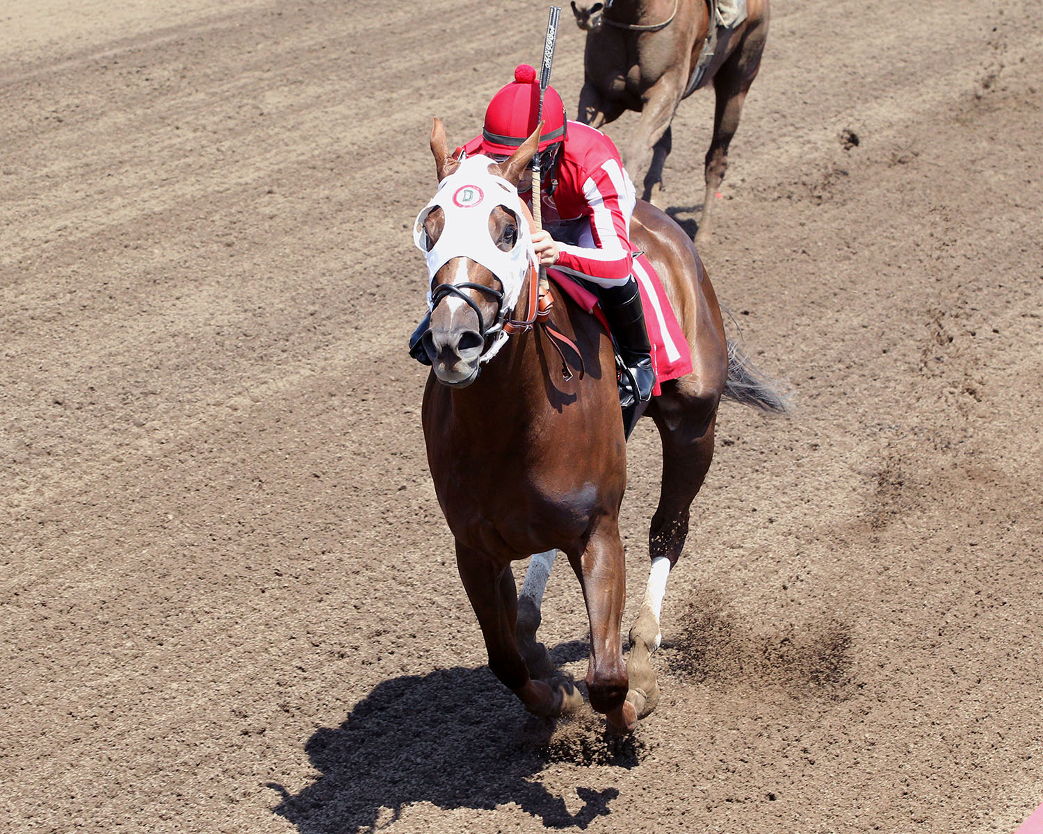 Fight to Glory wins the L 'Etoile Du Nord Stakes