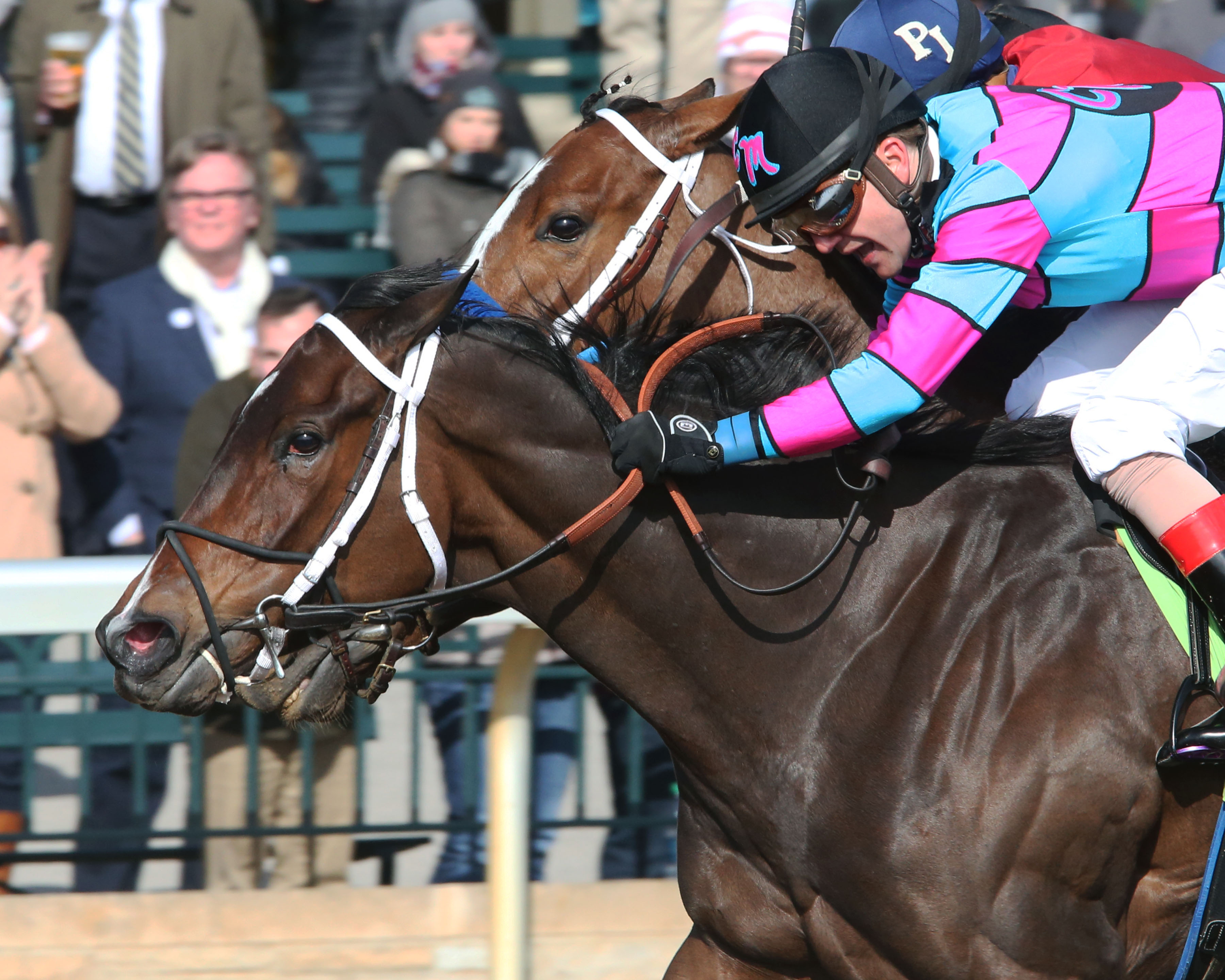 Finley-sluckycharm wins the 2018 Madison Stakes