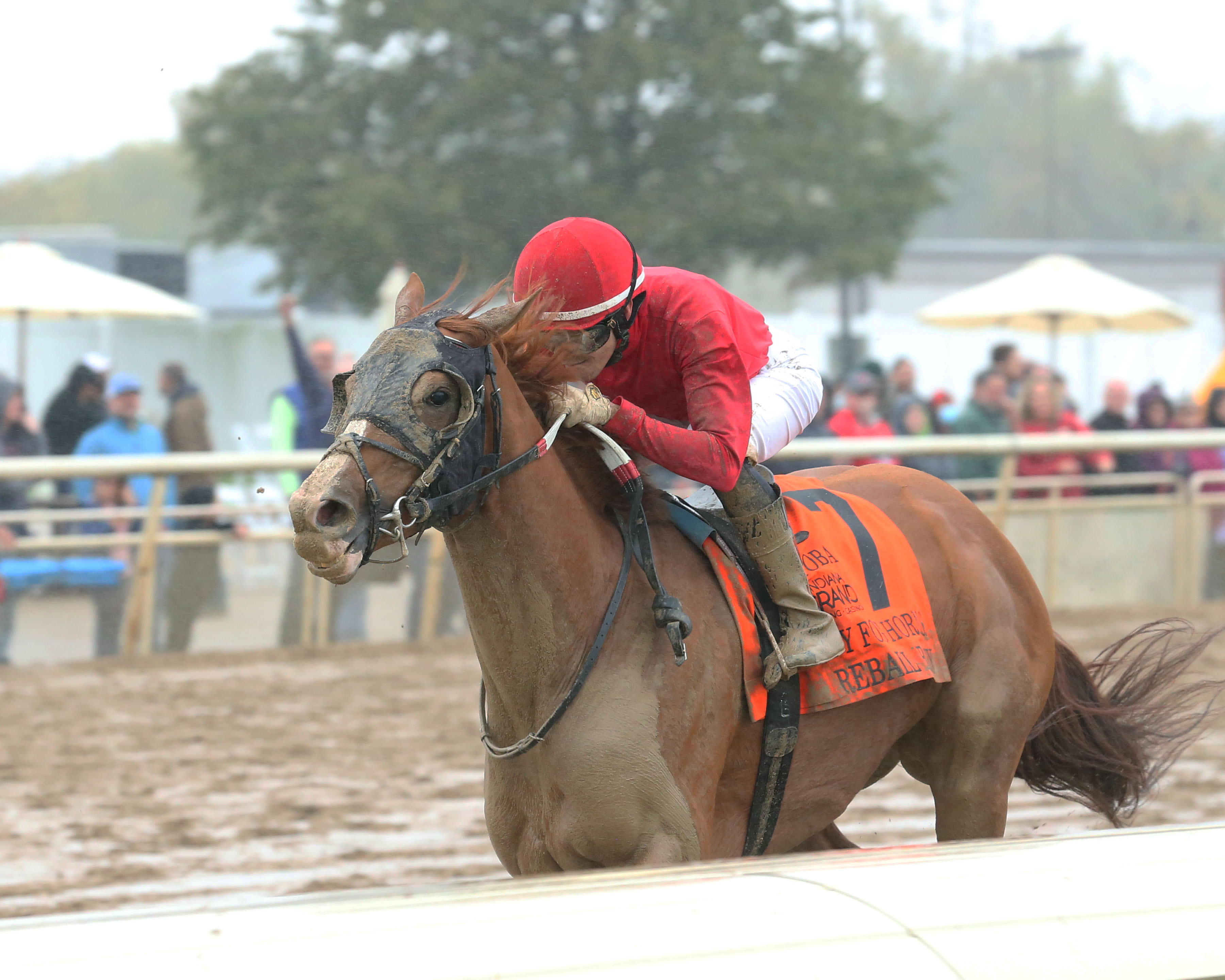 Fireball Baby wins Lady Foghorn 10-30-2021