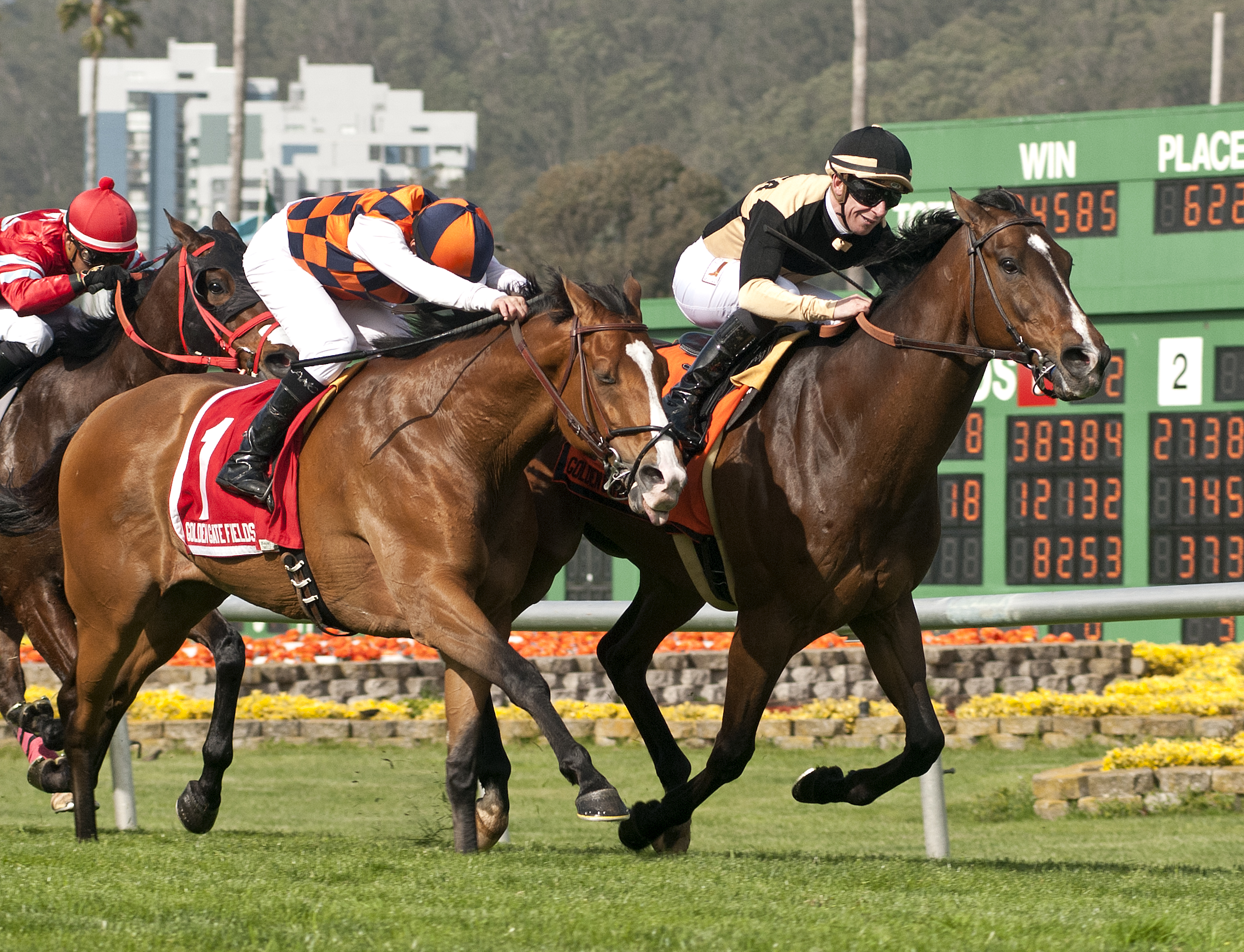 Flamboyant wins the 2018 San Francisco Mile