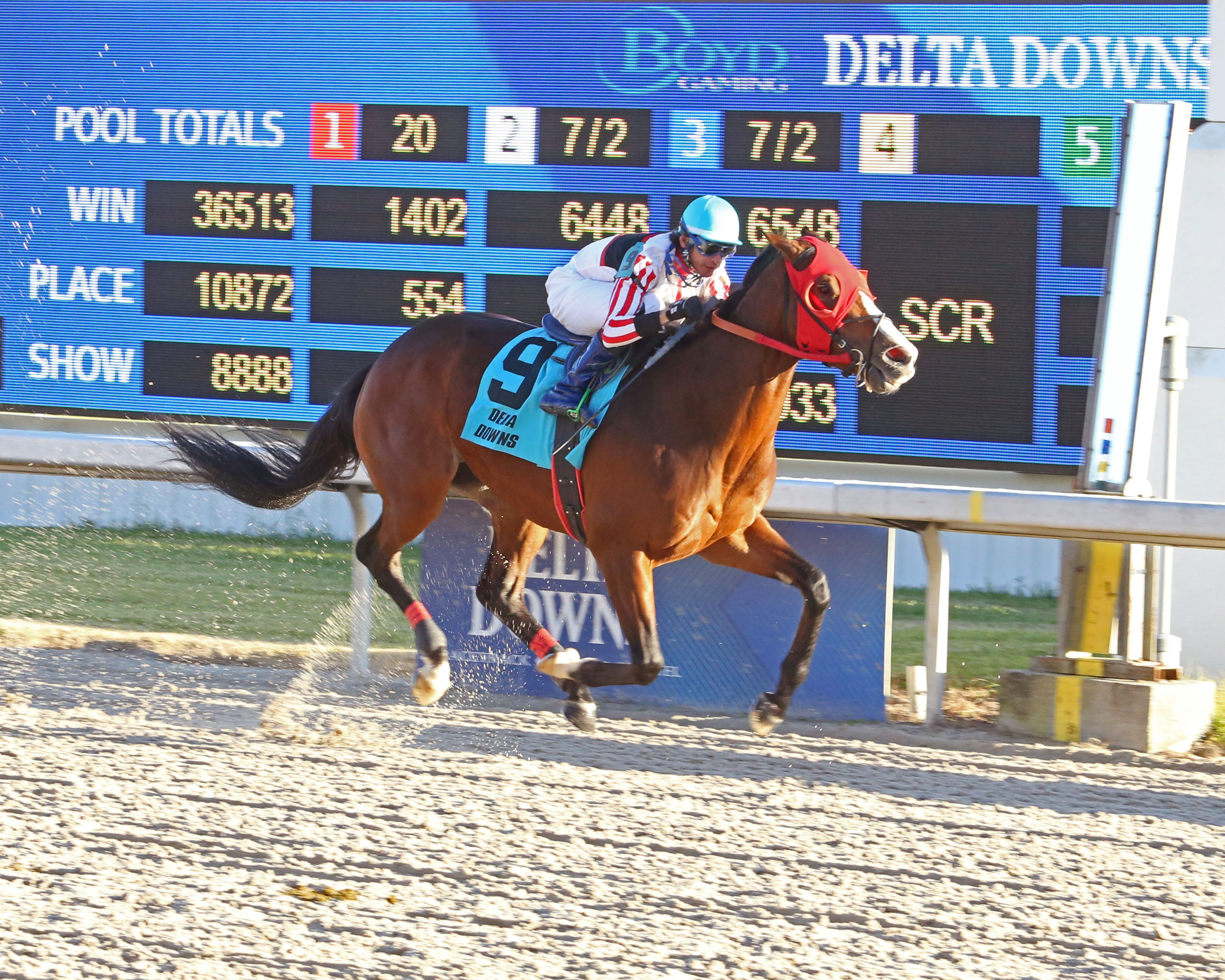 Flash of Mischief wins the Delta Mile 11-13-2021