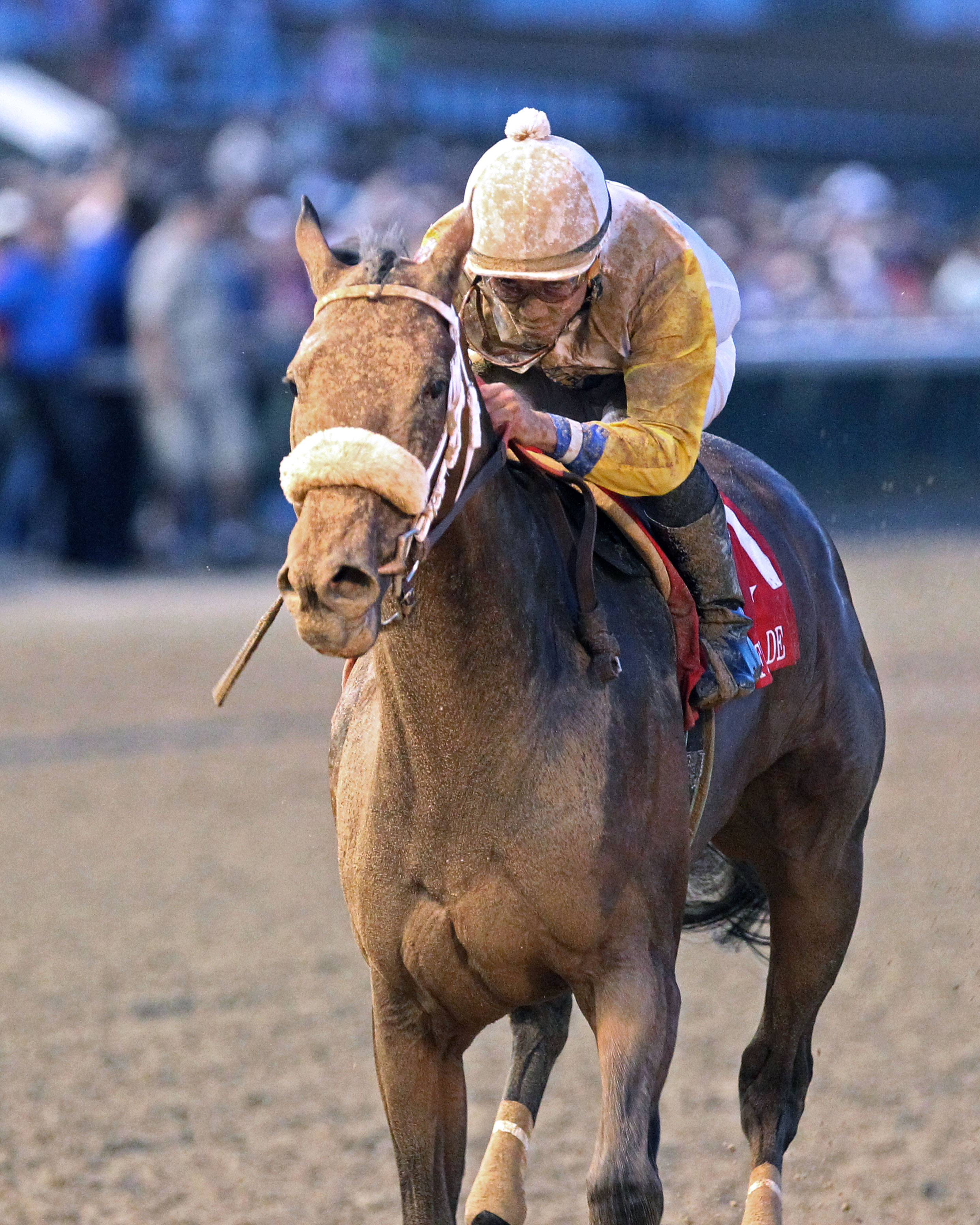 Forever Unbridled