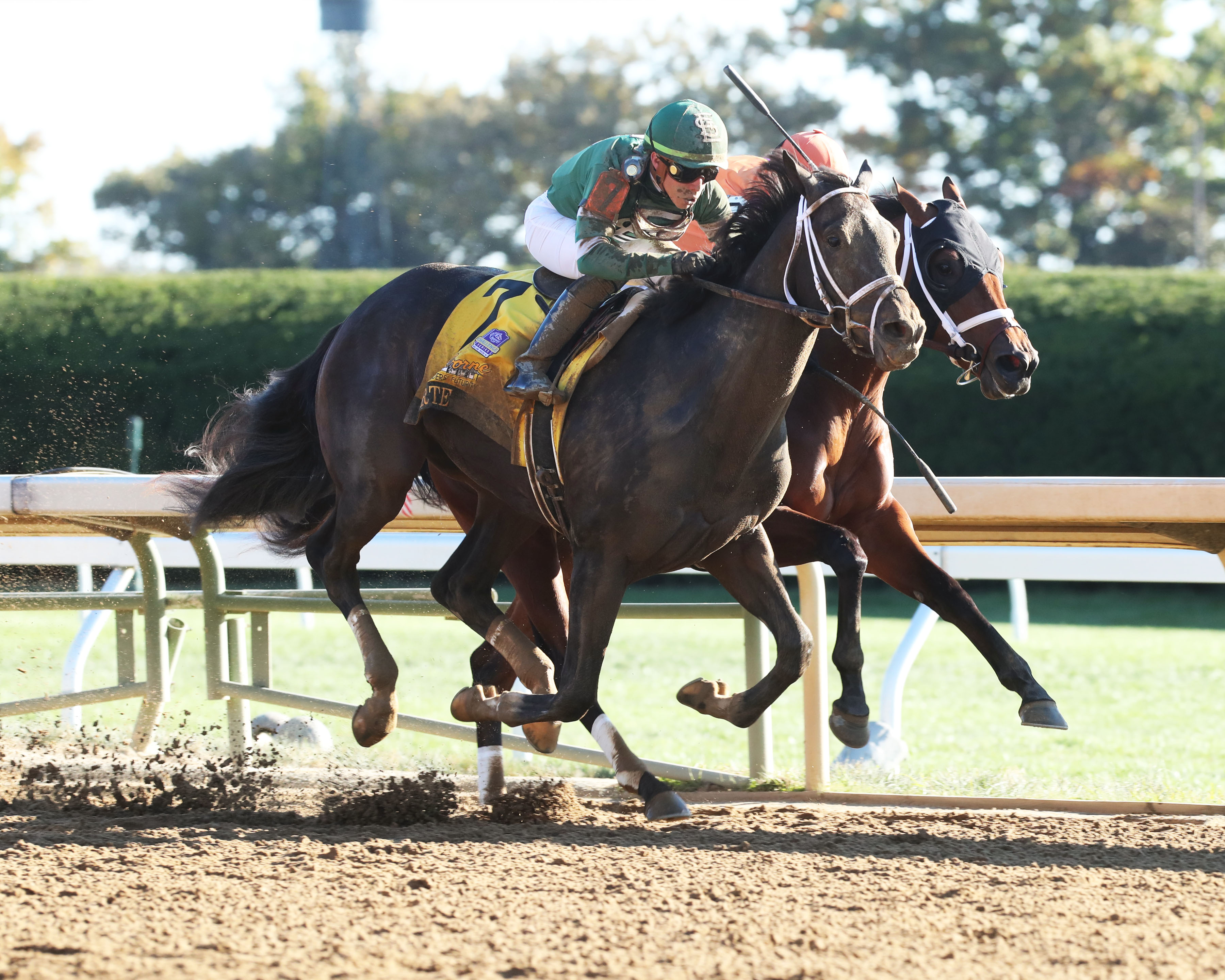 Forte/Loggins/Breeders' Futurity