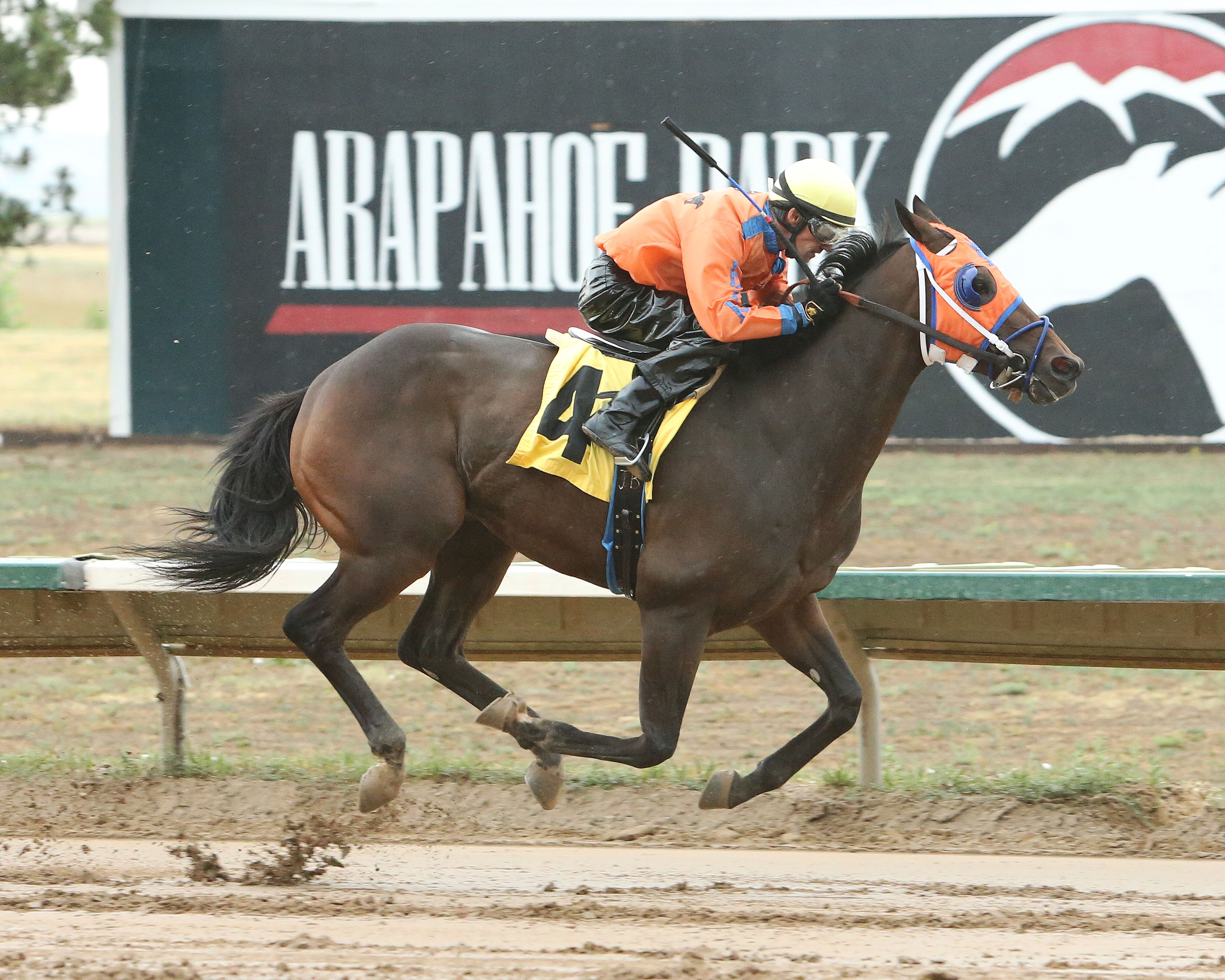 Fortified Effort wins 2018 Colorado Derby
