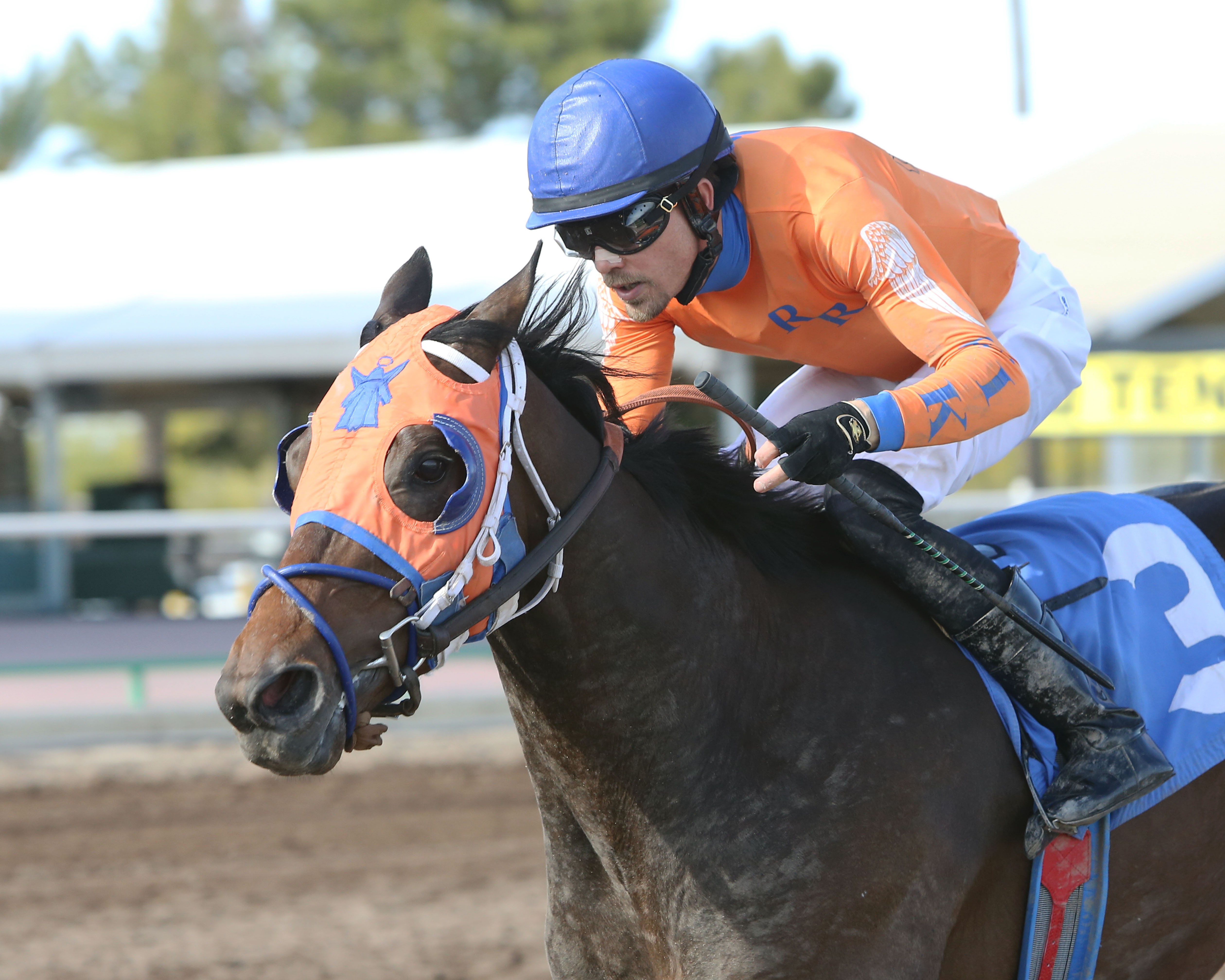Fortified Effort wins the 2018 Gene Fleming Breeders Derby