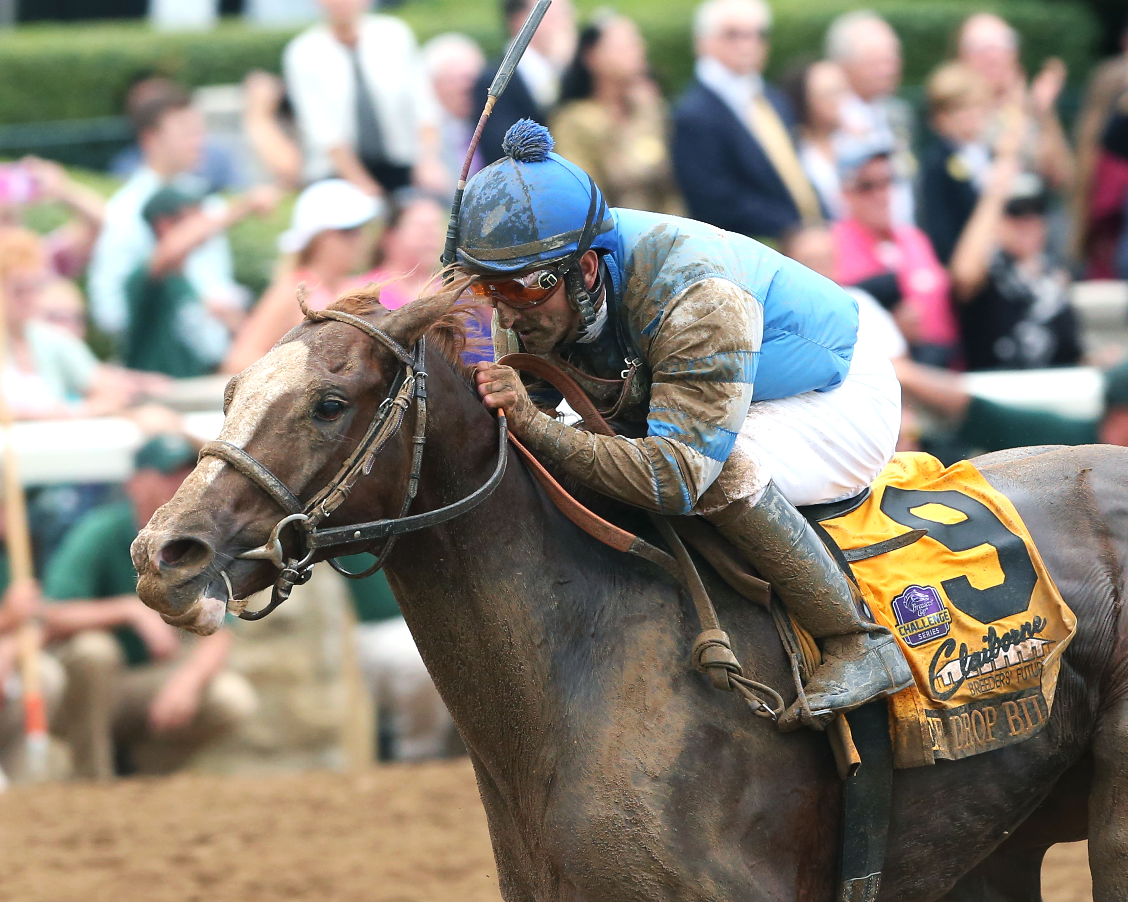 Free Drop Billy wins the 2017 Breeders' Futurity