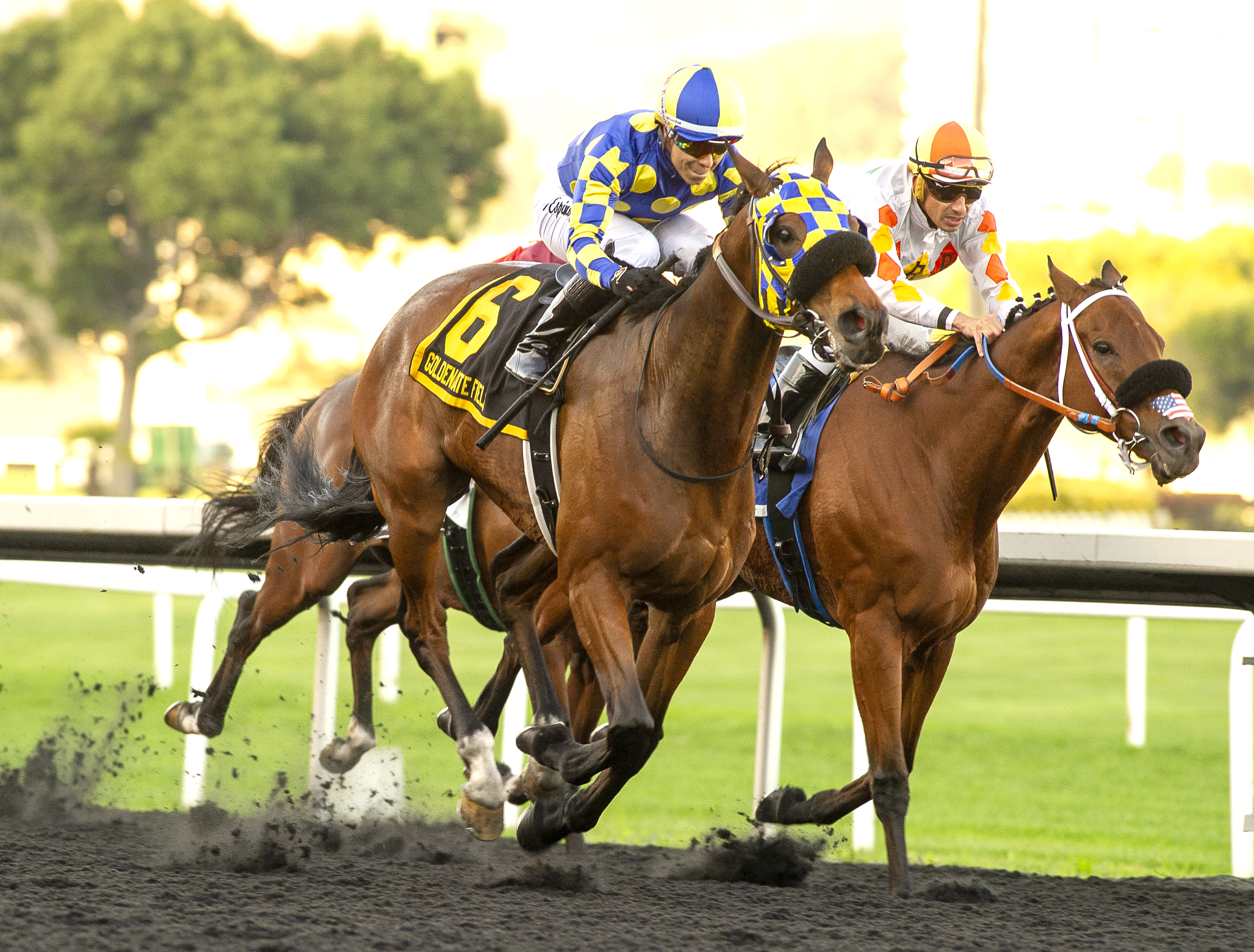 Freeport Joe wins Berkeley Handicap 11-27-2021