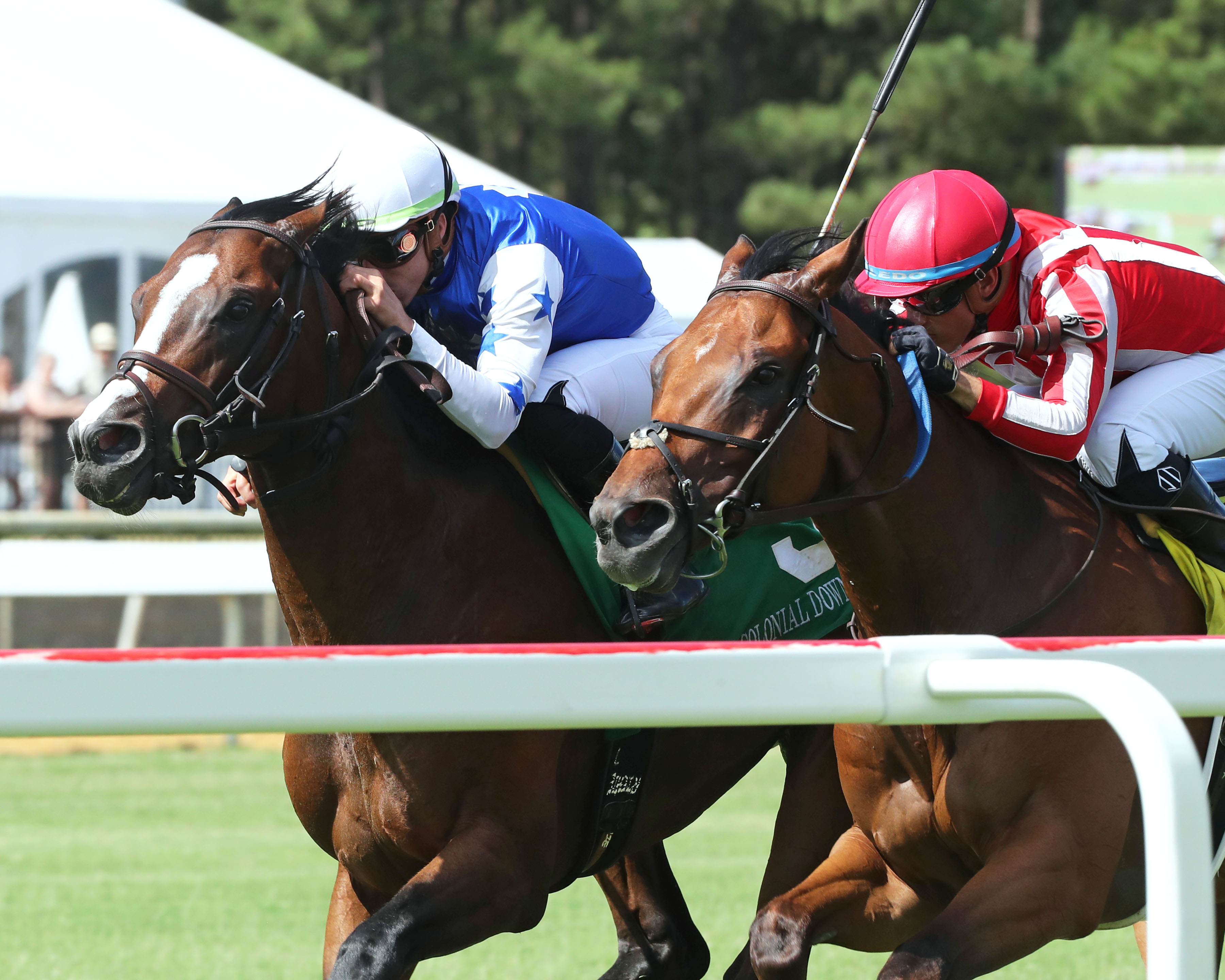 Front Run the Fed (5), Van Clief Stakes