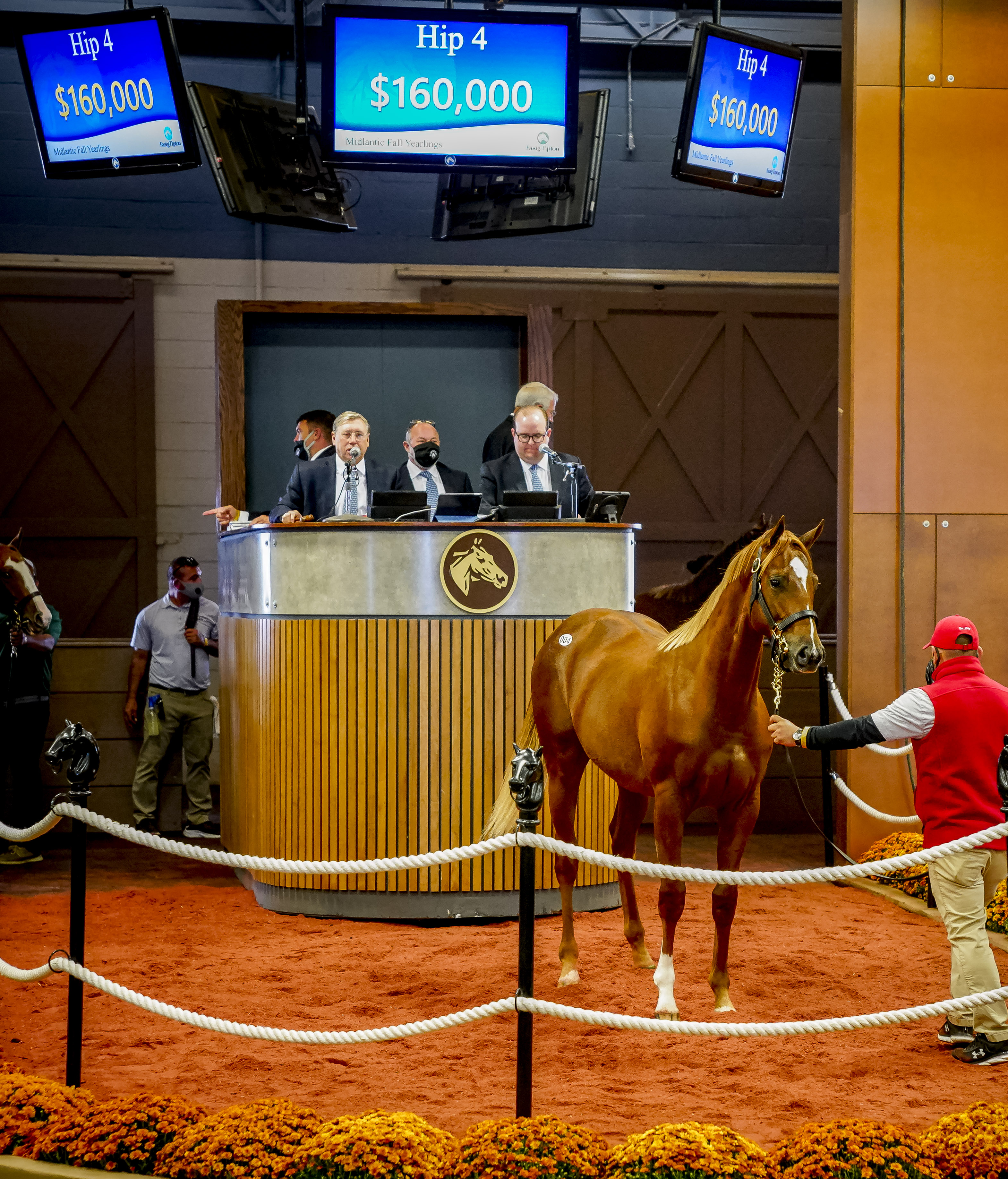 Fasig-Tipton Midlantic/Cupid session-topper