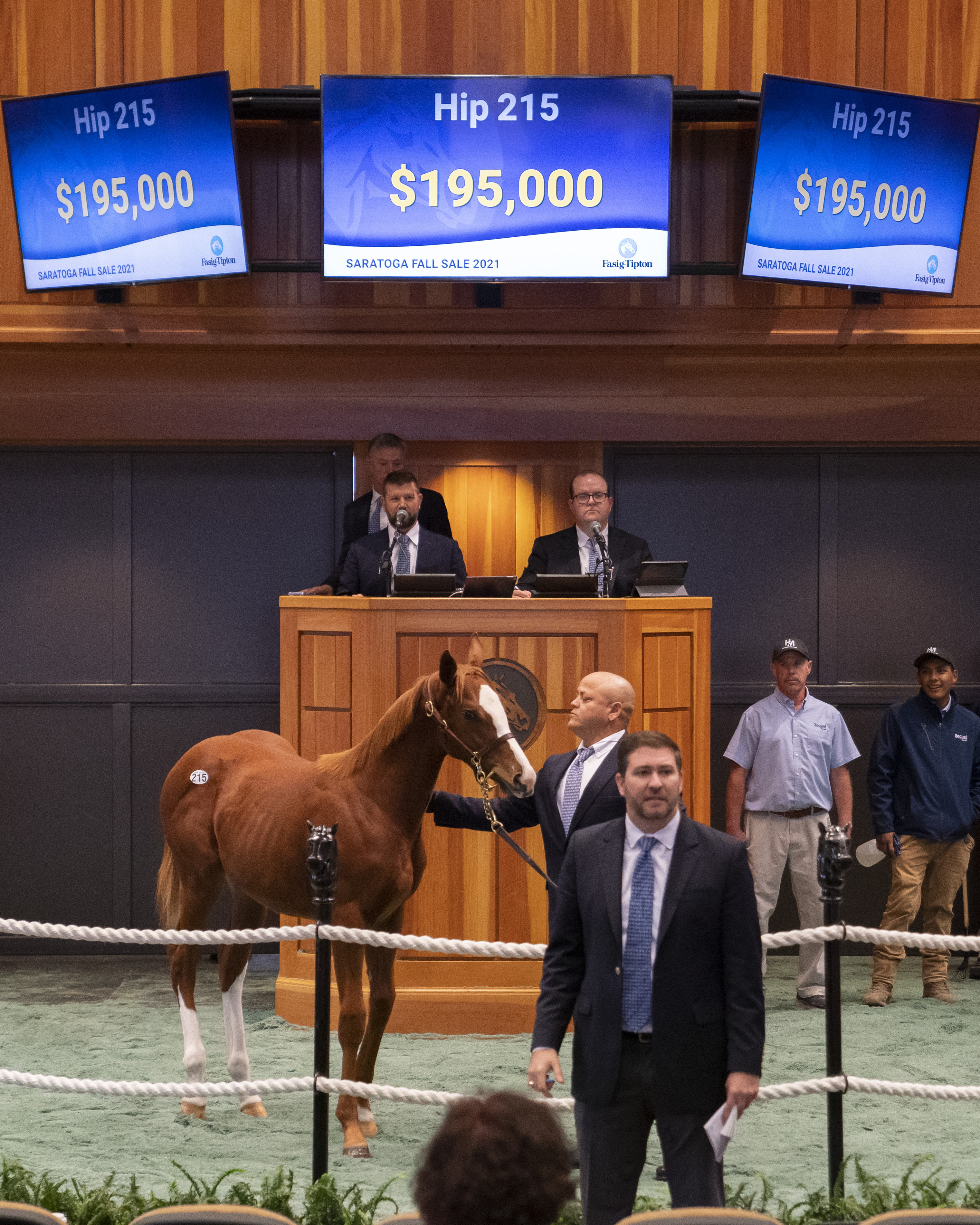 Catalina Cruiser weanlingt filly/FT Saratoga Fall