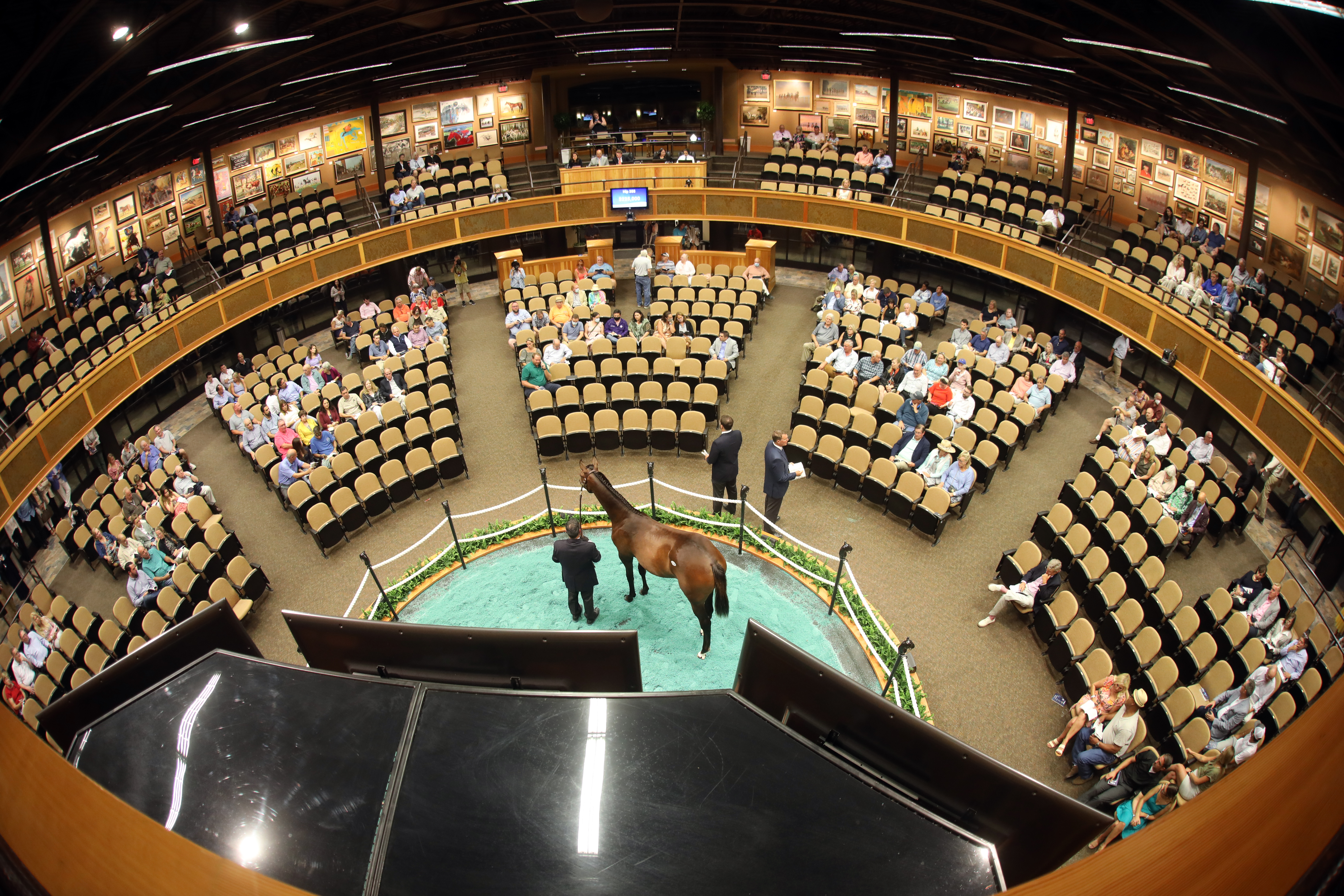 Fasig-Tipton Saratoga New York-bred sale