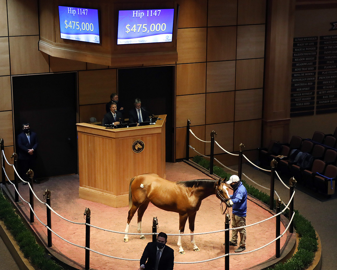 Fasig-Tipton 2020 October Yearling sale
