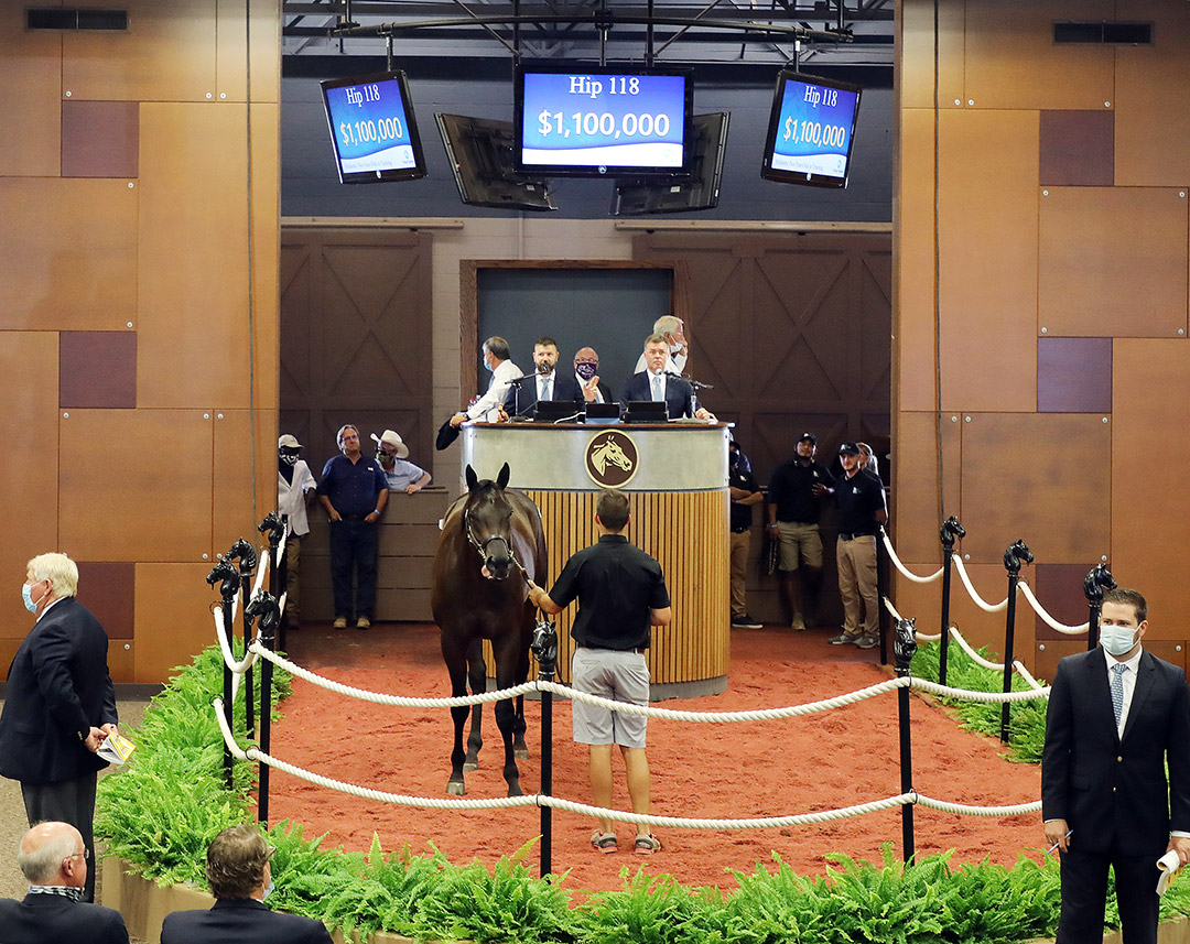 An Uncle Mo/Miss Ocean City colt sells at the Fasig-Tipton Midlantic 2-year-olds in training sale at Timonium
