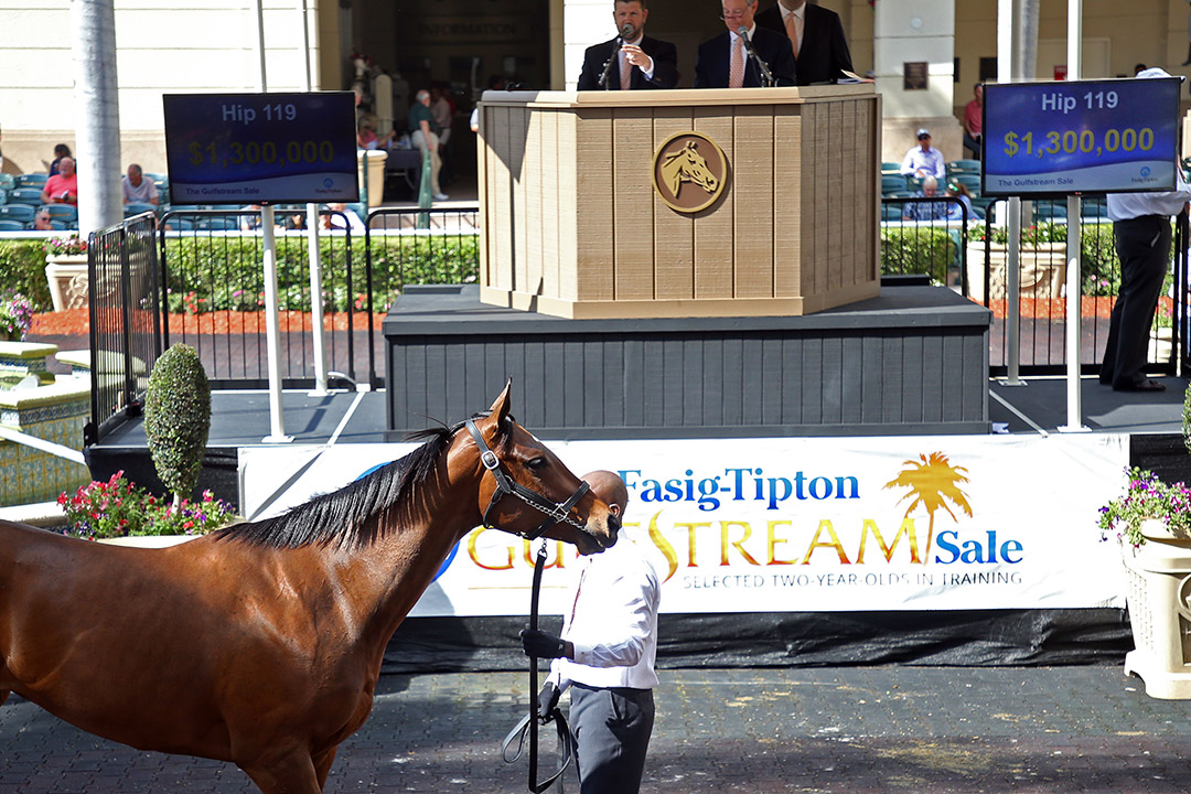 Fasig-Tipton selected 2-year-olds in training sale at Gulfstream Park 2019