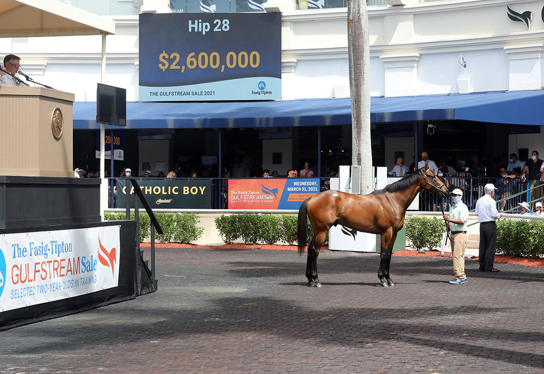 Hip 28, a Nyquist/Spinning Wheel colt, sells for $2.6 million at the Fasig-Tipton Gulfstream selected 2-year-olds in training sale