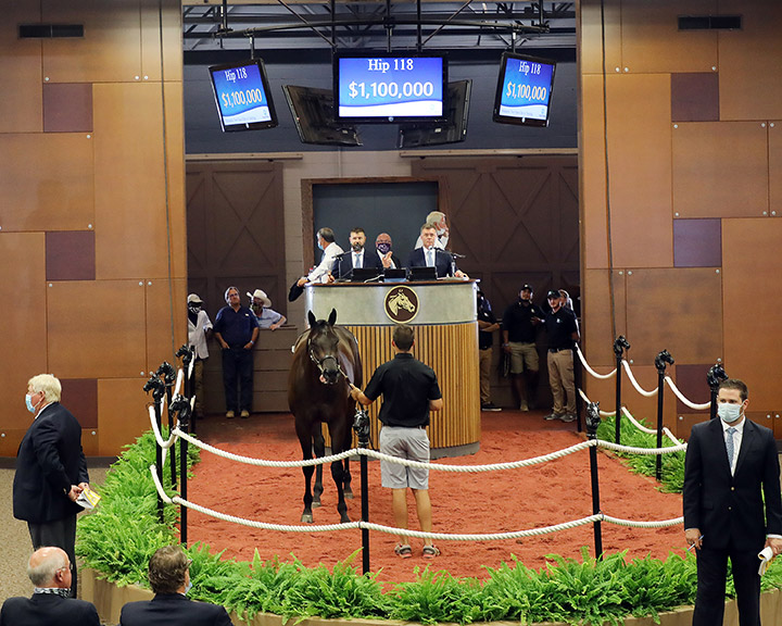 An Uncle Mo/Miss Ocean City colt, sells for $1.1 million at the Fasig-Tipton Midlantic sale