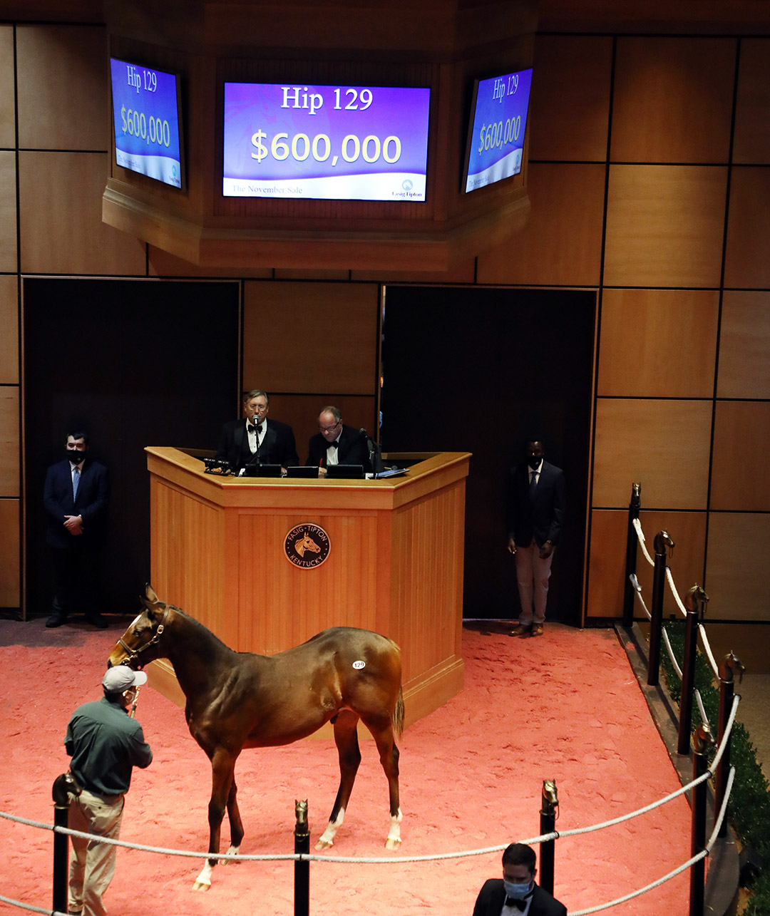 Hip 129, a City of Light/Breaking Beauty colt, sells for $600,000 at the Fasig-Tipton Kentucky November Sale